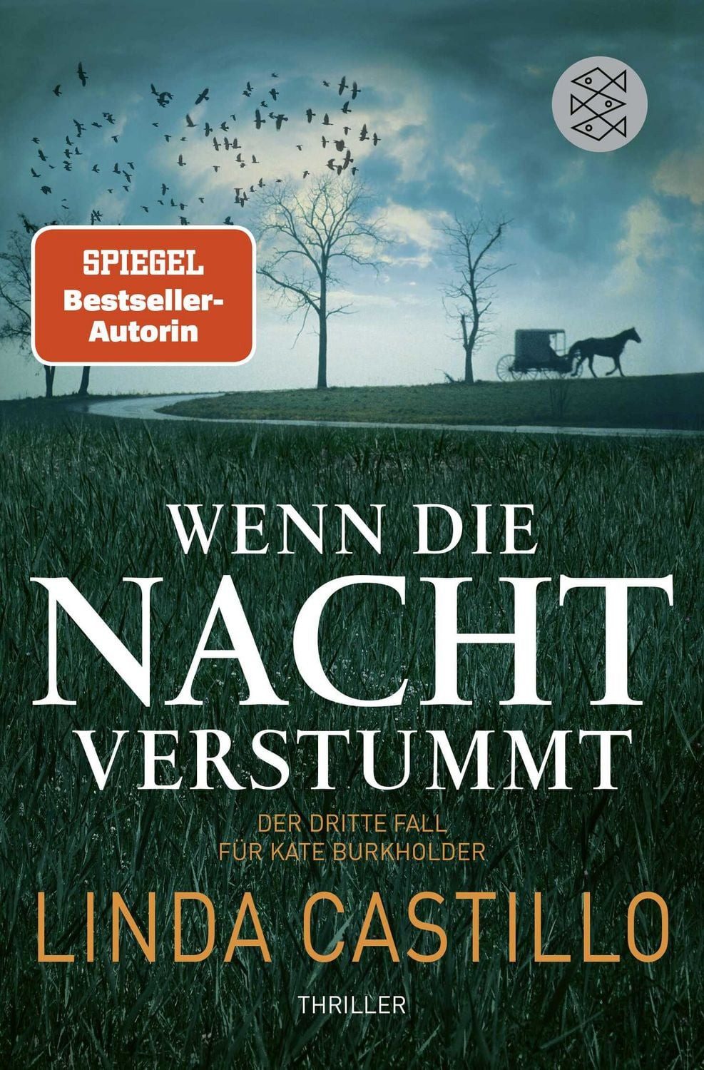 Wenn die Nacht verstummt / Kate Burkholder Band 3 / Linda Castillo, Thriller, Spannender Thriller bei den Amischen