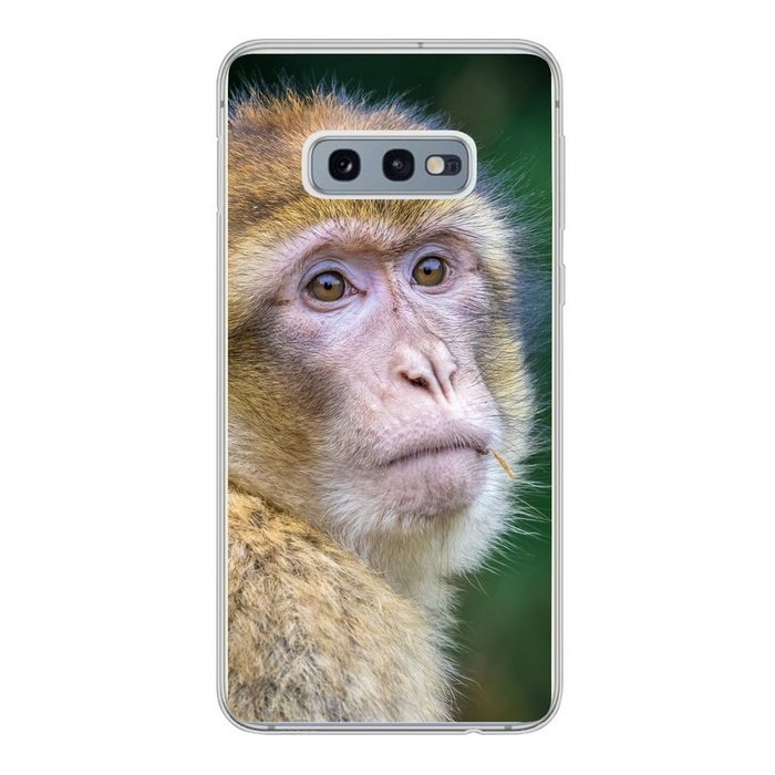 MuchoWow Handyhülle Affen - Tiere - Porträt - Natur Phone Case Handyhülle Samsung Galaxy S10e Silikon Schutzhülle