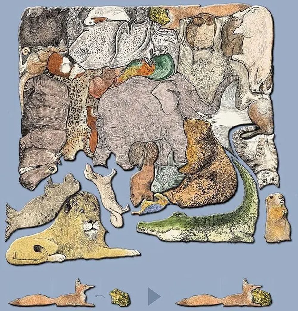 Metermorphosen Puzzle Tierpuzzle, Puzzleteile