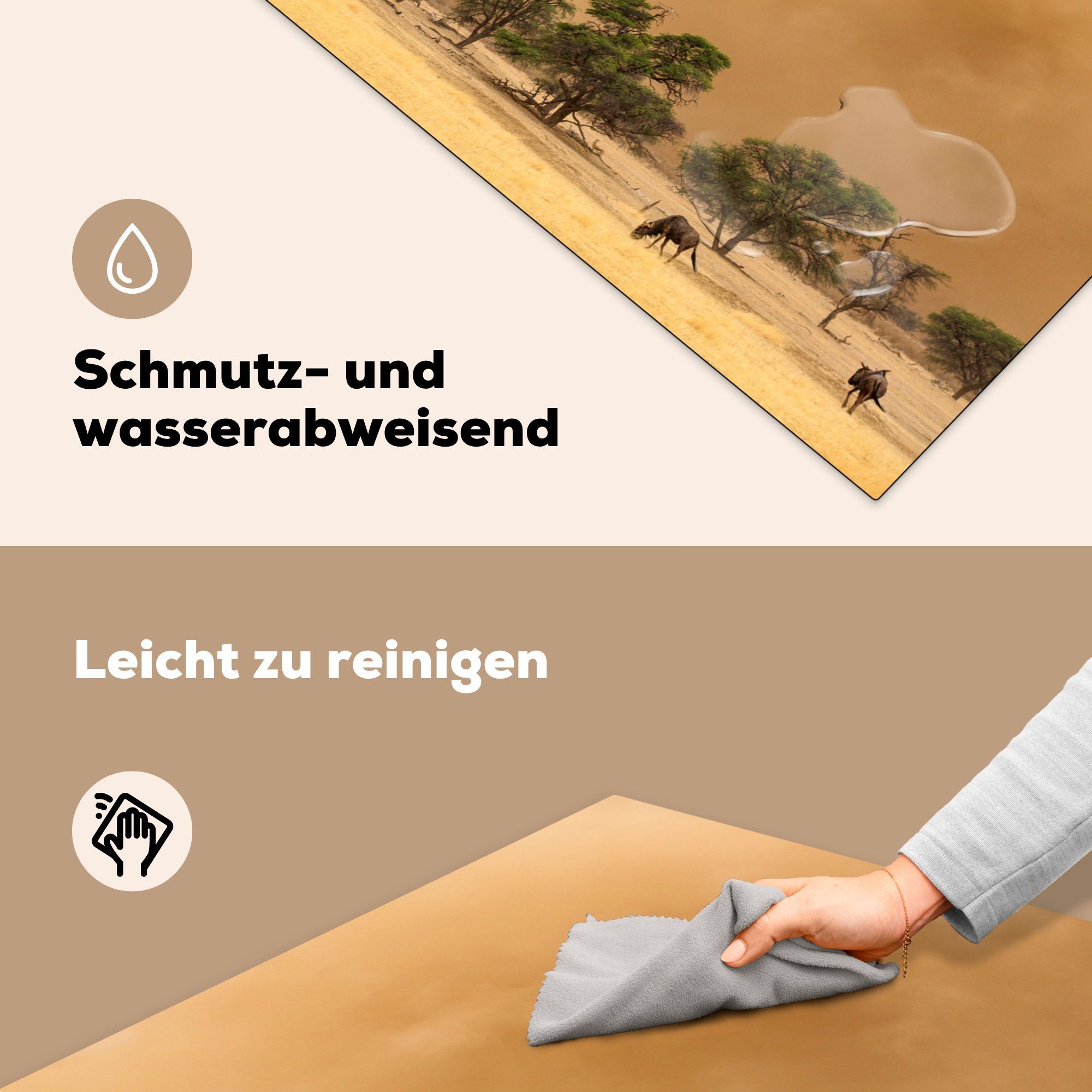 Transfrontier am (1 Arbeitsplatte tlg), Park, küche Rande Sandsturms eines Streifengnu 78x78 Ceranfeldabdeckung, MuchoWow Herdblende-/Abdeckplatte im cm, Vinyl, für Kgalagadi