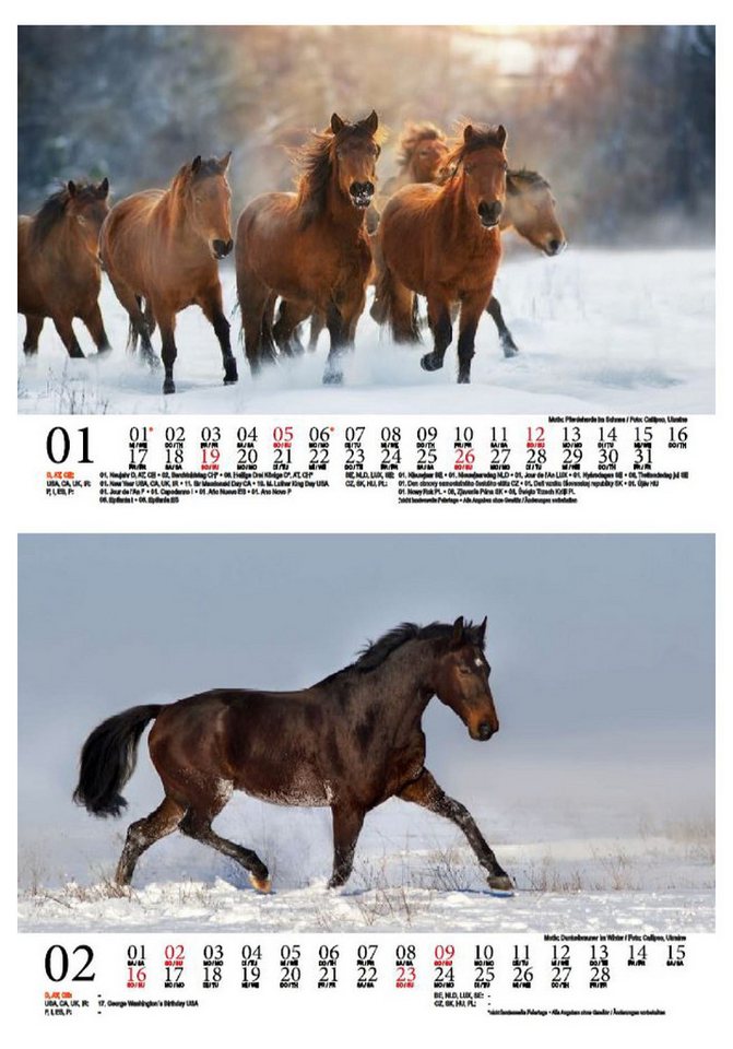 Thumbnail - Seelenzauber Wandkalender Pferdezauber DIN A5 Kalender für 2025 Pferde und Fohlen