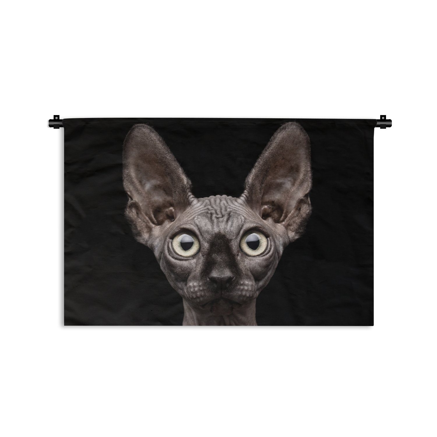 MuchoWow Wanddekoobjekt Katze - Haustiere - Porträt - Schwarz, Wanddeko für Wohnzimmer, Schlafzimmer, Kleid, Wandbehang, Kinderzimmer