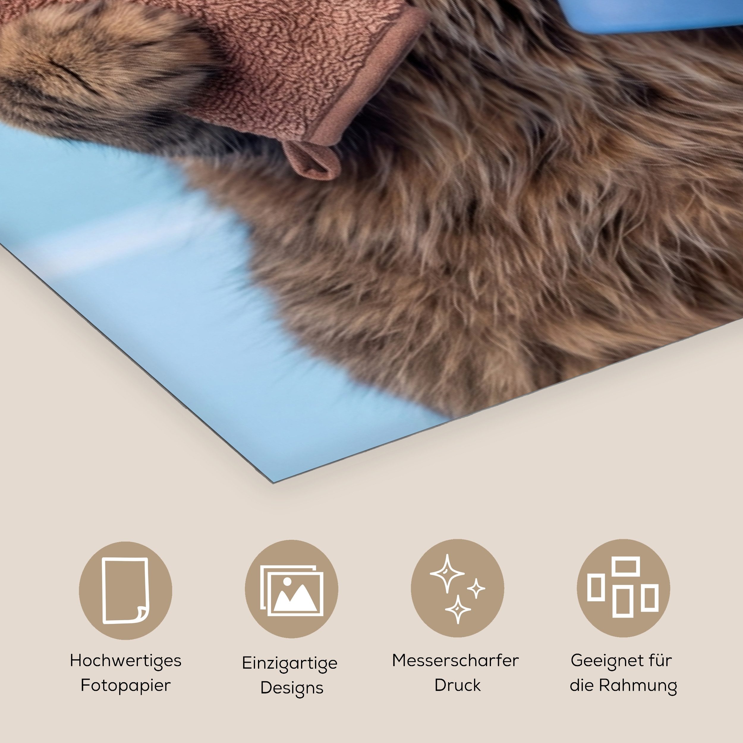 MuchoWow Poster Katze - Handtuch - Waschlappen - Seife, (1 St), Wandbild, Wohnzimmer Deko, Qualitätsdruck Dickes Papier, 80x160 cm