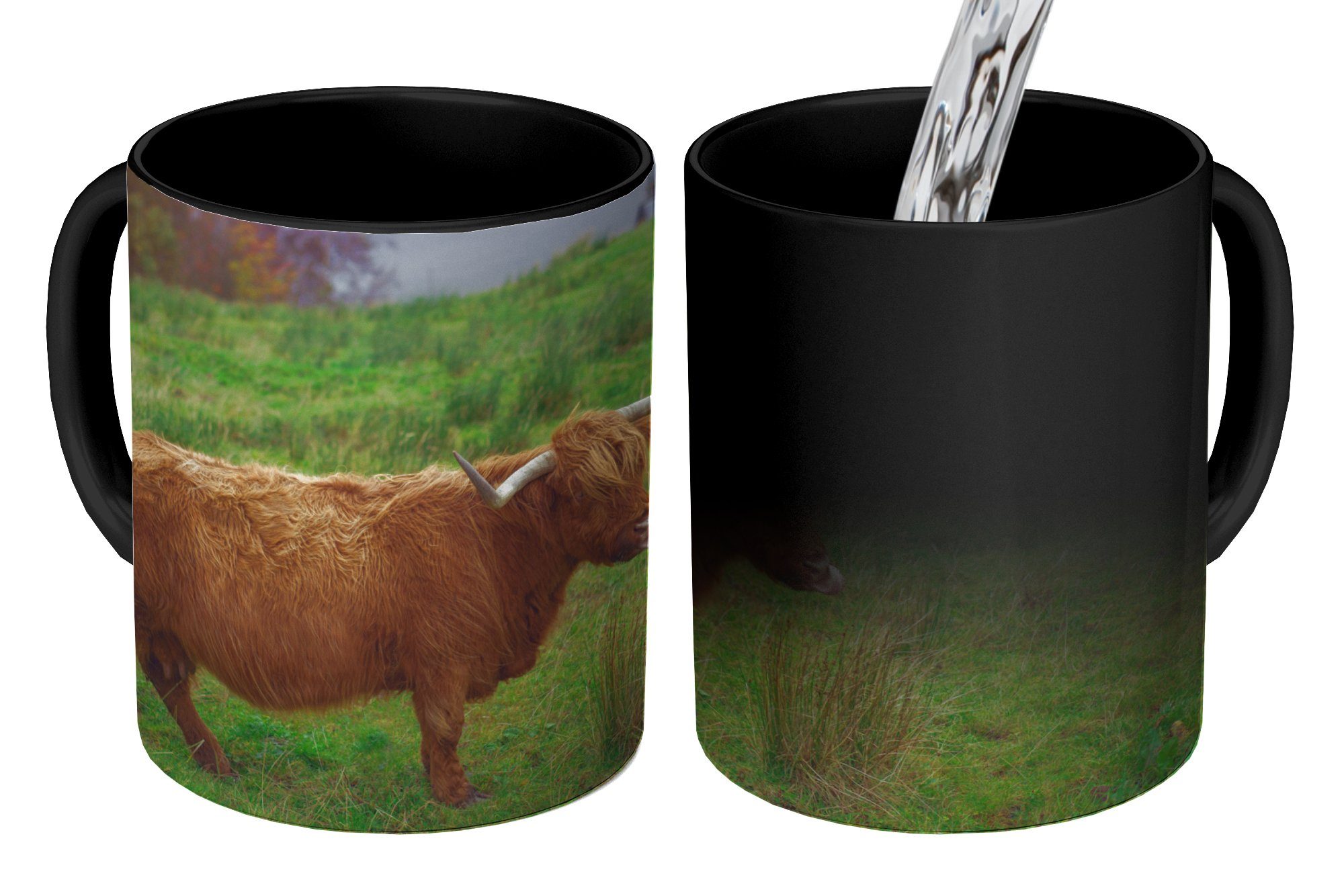 MuchoWow Tasse Schottische Highlander - Gras - Wasser - Tiere, Keramik, Farbwechsel, Kaffeetassen, Teetasse, Zaubertasse, Geschenk