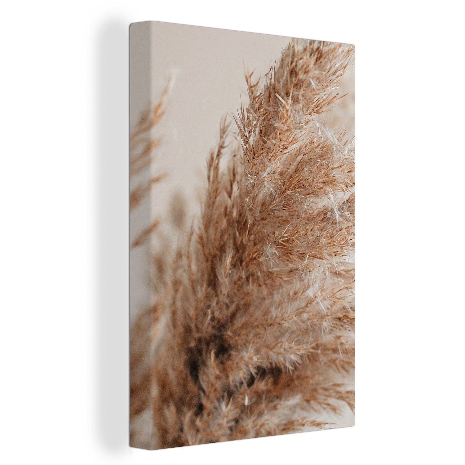 OneMillionCanvasses® Leinwandbild Gras - Pflanzen - günstig online kaufen