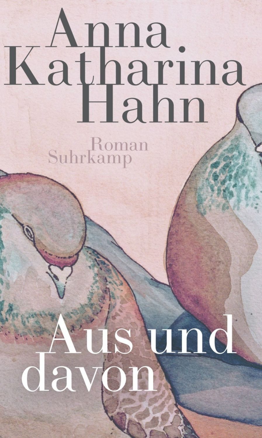 Aus und davon / Anna Katharina Hahn