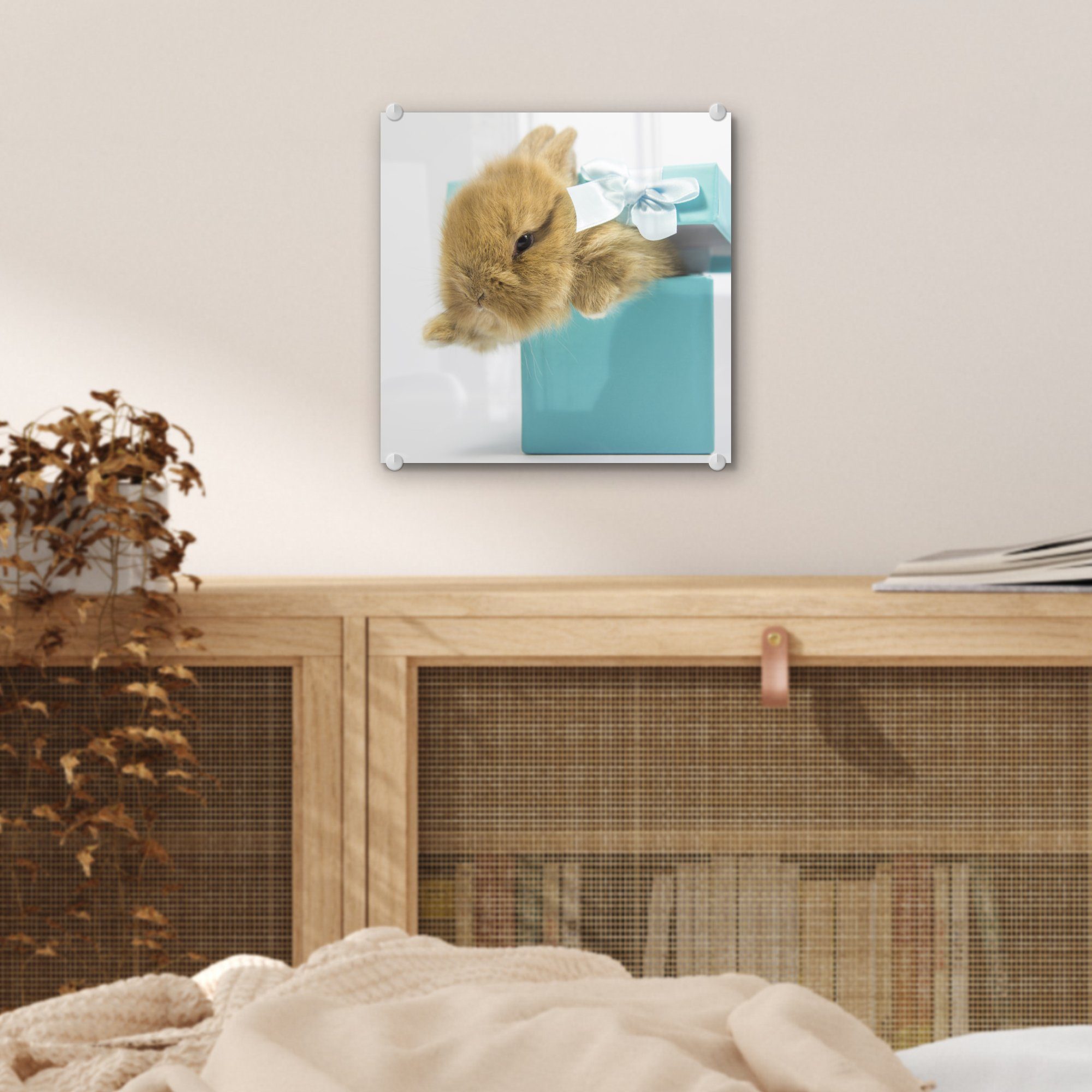MuchoWow Acrylglasbild Kaninchen - Glas Bilder (1 - Foto Glasbilder - Blau, auf - Glas - St), Wandbild Wanddekoration Pastell auf