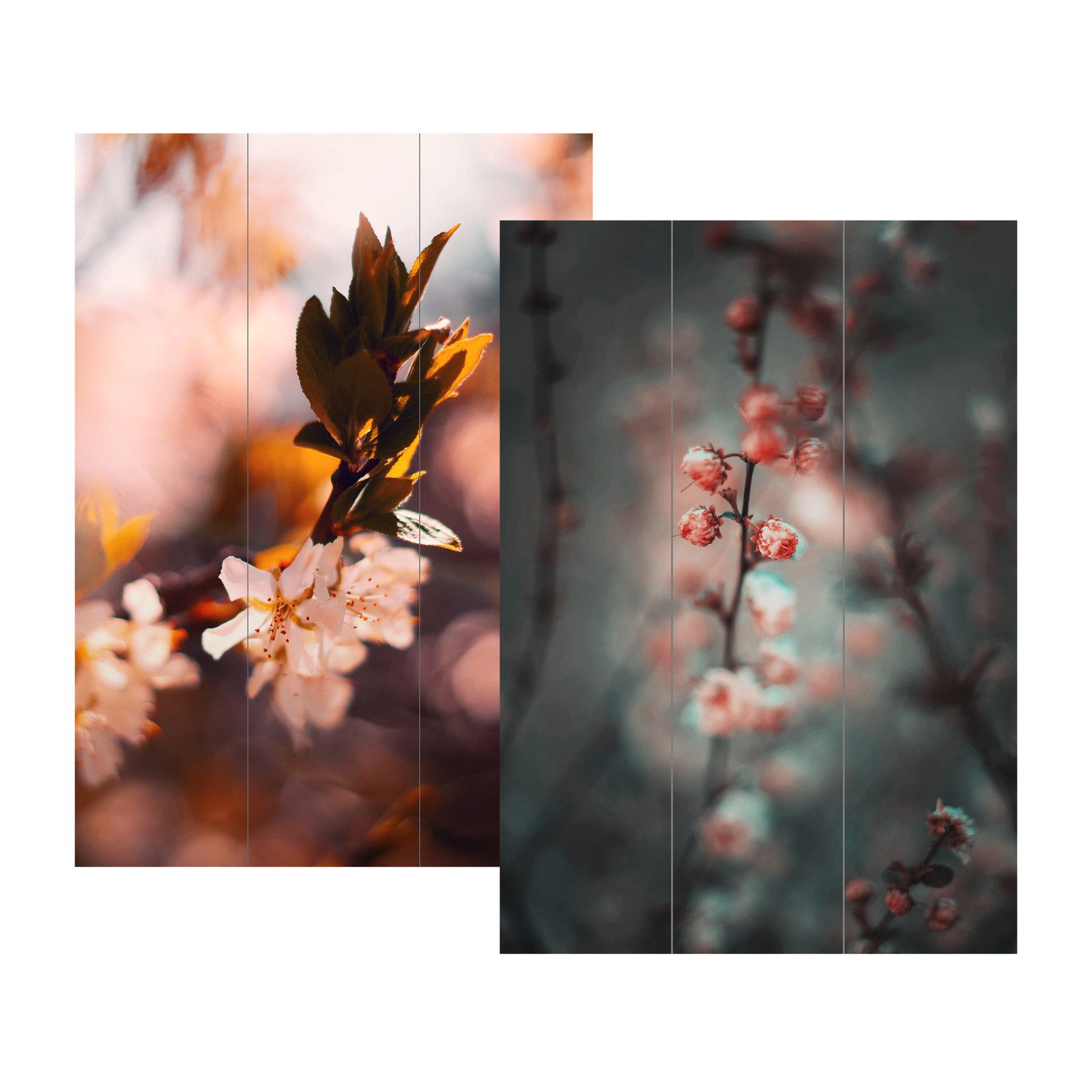 HTI-Living Paravent Paravent Blüten Frühling (1 St), Raumteiler Sichtschutz Trennwand