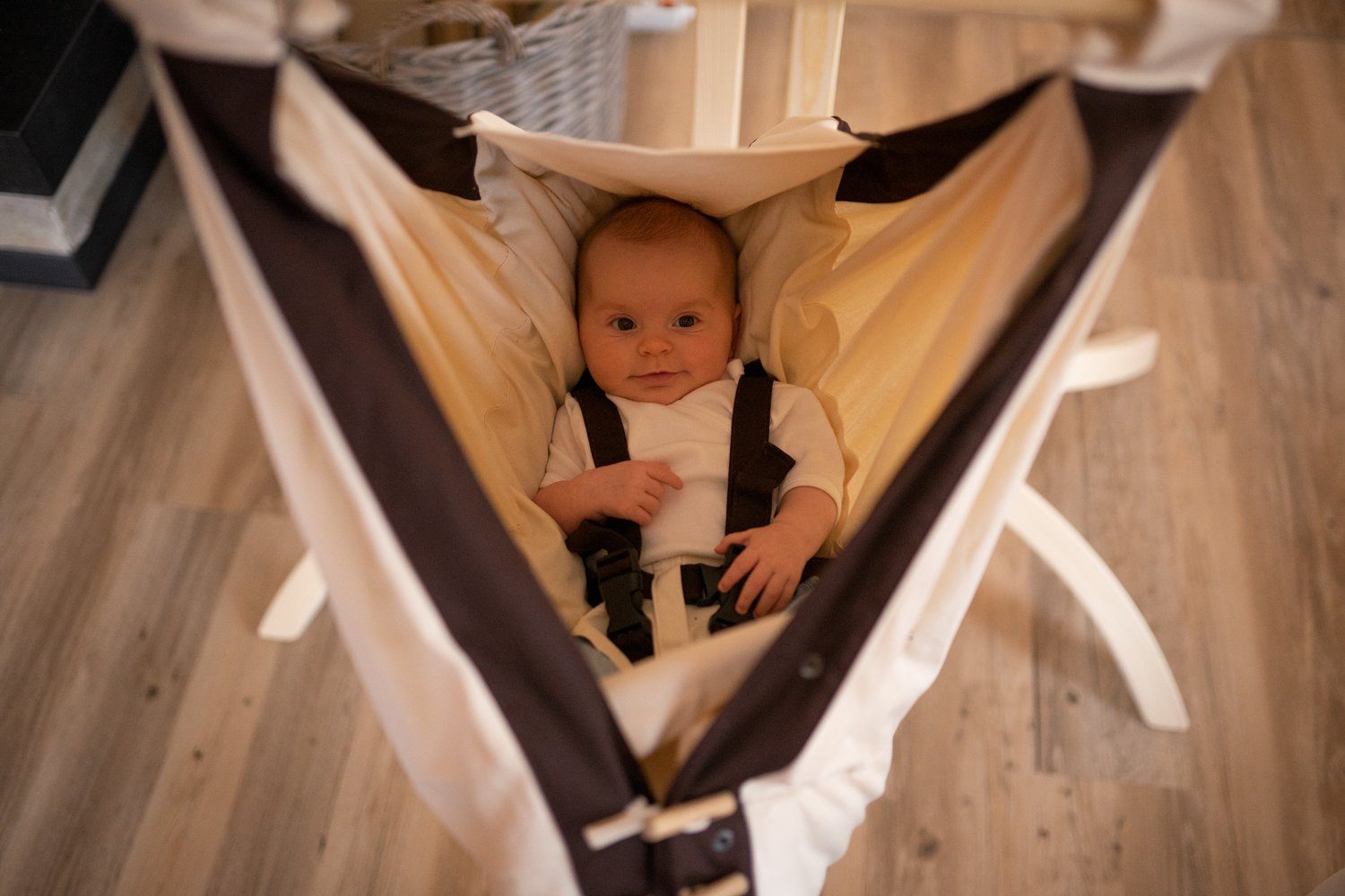 Amazonas Babyschaukel Kangoo Babyhängematte günstig online kaufen