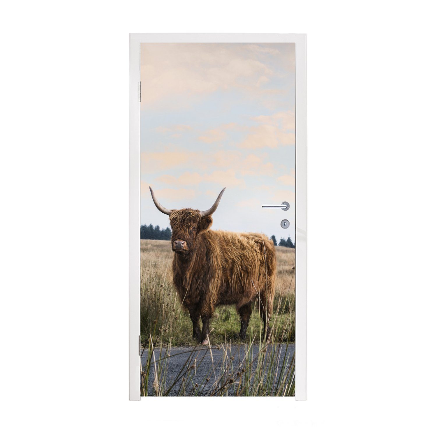 MuchoWow Türtapete Schottischer Highlander - Kuh - Herbst, Matt, bedruckt, (1 St), Fototapete für Tür, Türaufkleber, 75x205 cm