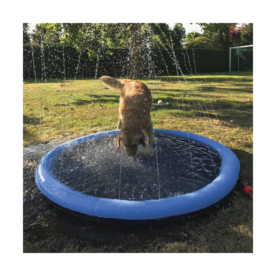 Nobby Hundepool Splash Pool blau