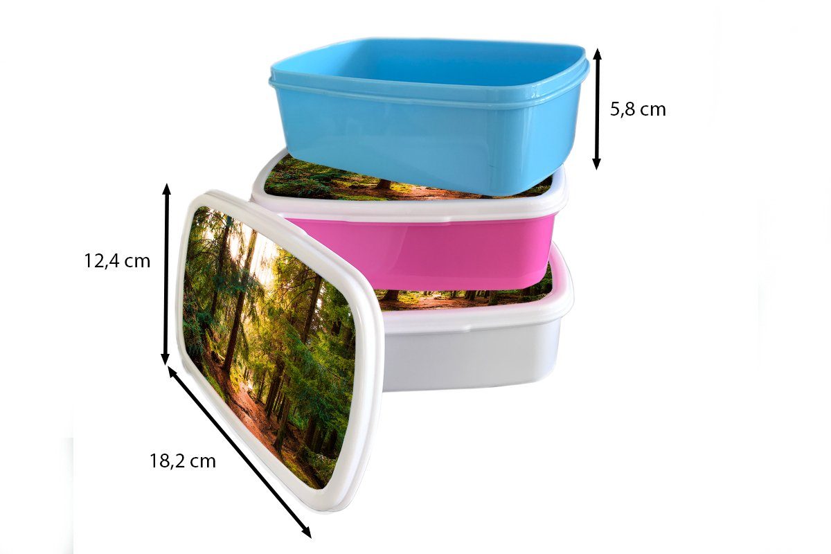 Weg Grün Lunchbox MuchoWow für - Mädchen, Snackbox, Natur, Kunststoff, Kinder, Brotdose Erwachsene, - Bäume - - Kunststoff Brotbox Wald (2-tlg), Sonne rosa -