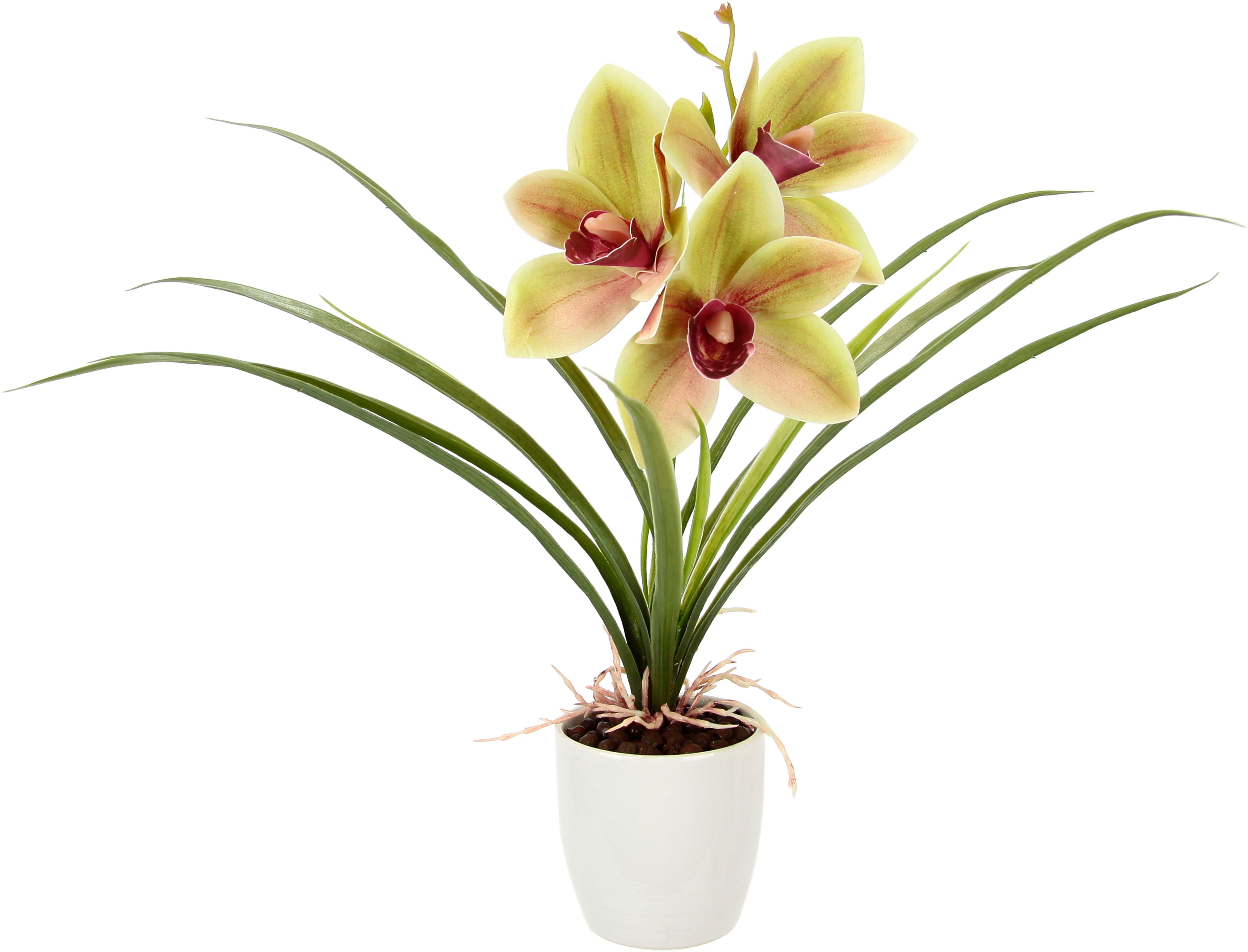 Kunstblume Orchidee, I.GE.A., Höhe 32 cm, Mit Blätter im Topf aus Keramik Künstliche Blume Cymbidium-Orchidee Grün/Rot