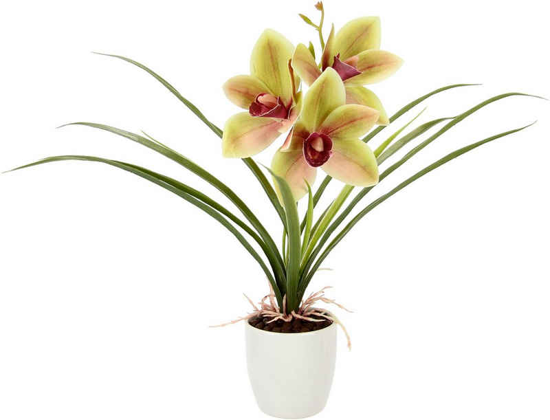 Kunstblume Orchidee, I.GE.A., Höhe 32 cm, Mit Blätter im Topf aus Keramik Künstliche Blume Cymbidium-Orchidee