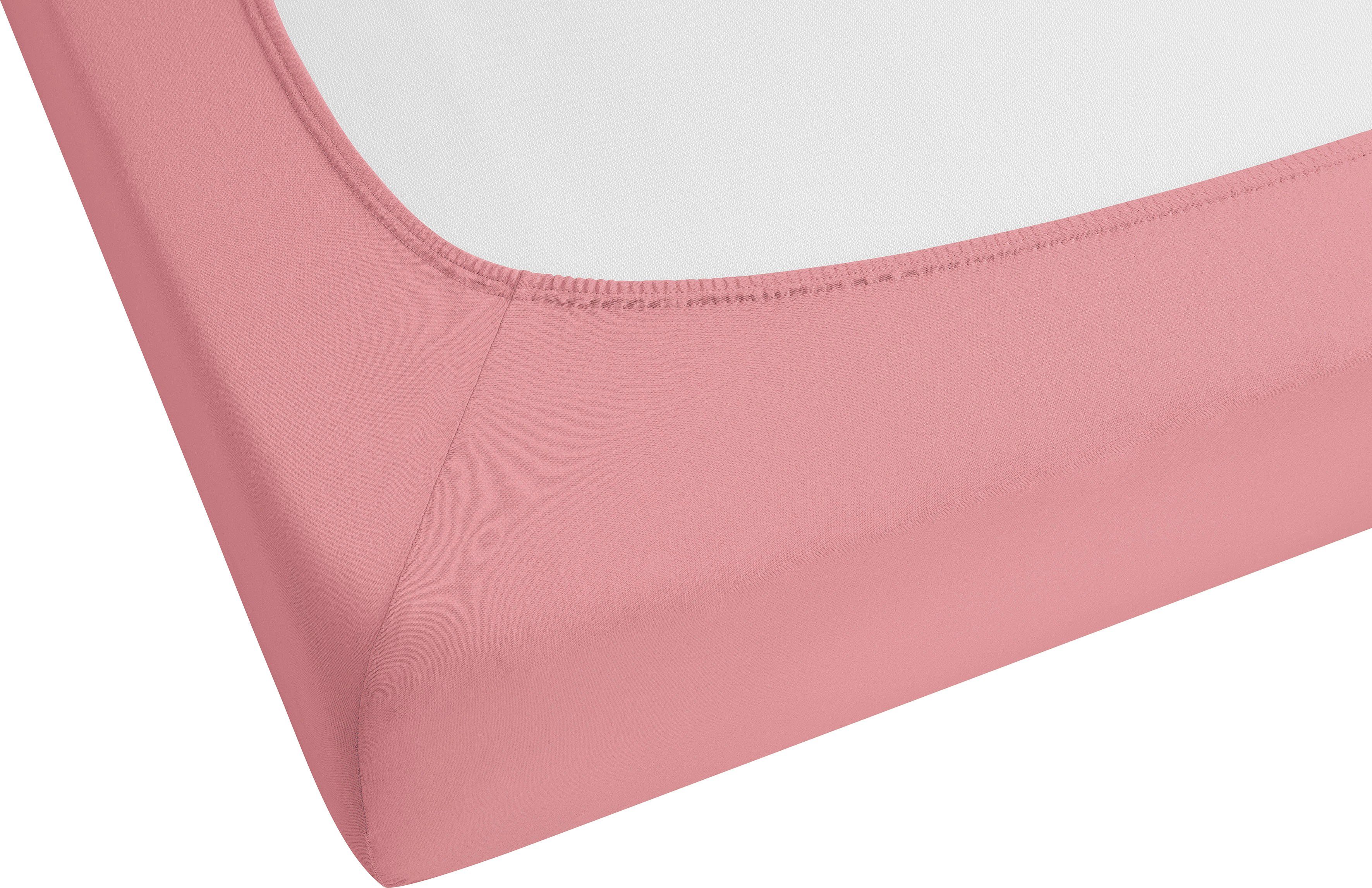 Biberna Spannbettlaken GOTS Biber in Gr. 90x200, 140x200 oder 180x200 cm, B günstig online kaufen