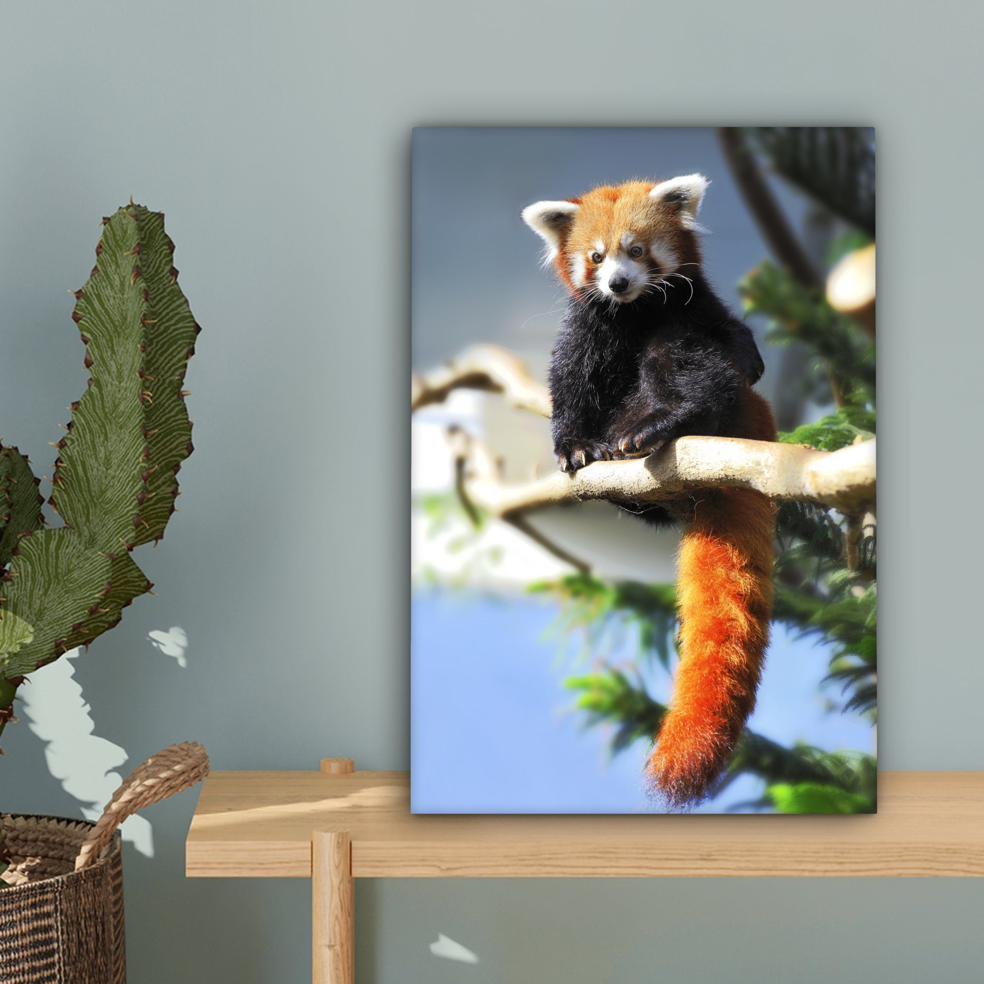 Leinwandbild Leinwandbild Gemälde, Sonne cm inkl. (1 - - St), fertig Panda Zweig, bespannt OneMillionCanvasses® Roter Zackenaufhänger, 20x30