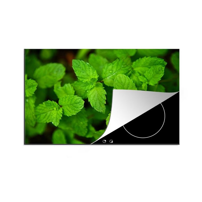 MuchoWow Herdblende-/Abdeckplatte Die grünen Pfefferminzblätter in der Natur Vinyl (1 tlg) induktionskochfeld Schutz für die küche Ceranfeldabdeckung