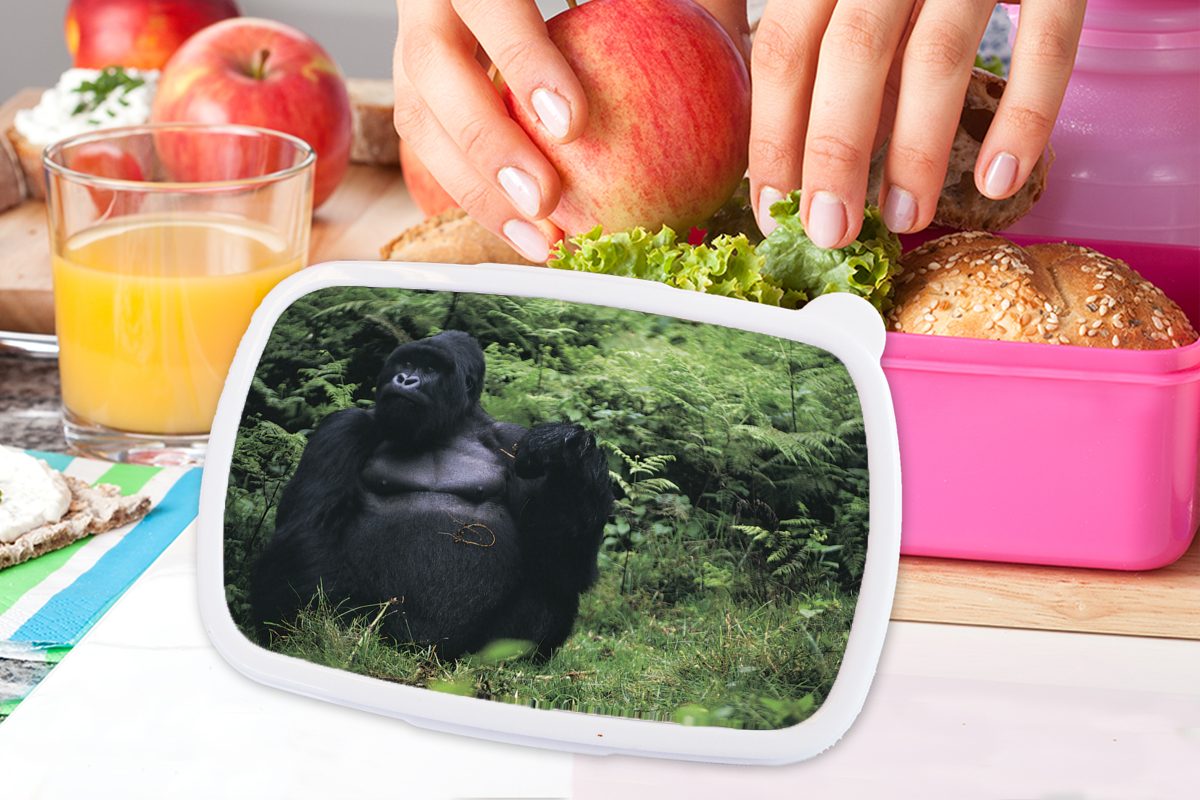 MuchoWow Lunchbox Ein riesiger einem Gorilla Regenwald, Kinder, rosa für Erwachsene, Brotbox grünen Mädchen, (2-tlg), Kunststoff, in Brotdose Kunststoff Snackbox