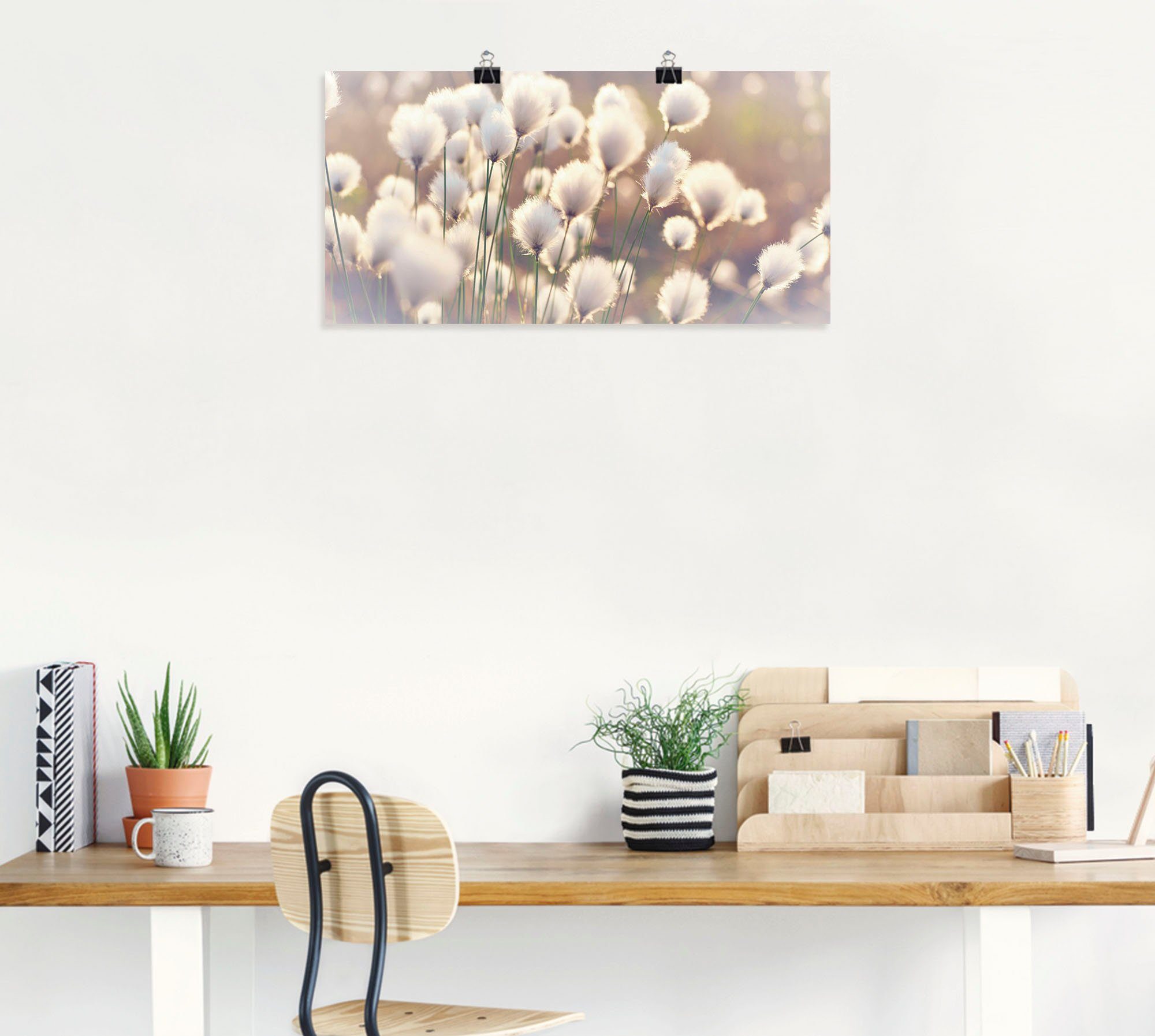 Artland Wandbild Wollgraszauber im Moor, Gräser (1 St), als Alubild, Leinwandbild, Poster in verschied. Größen