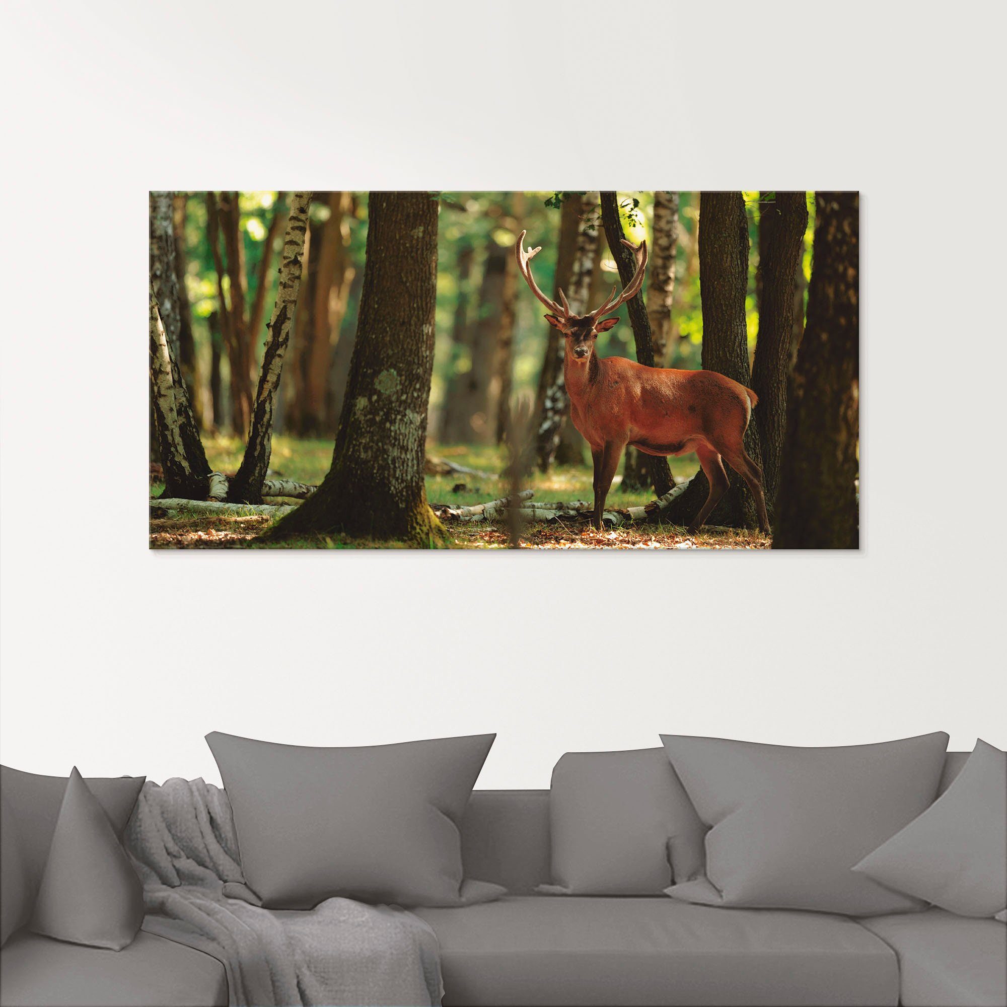 in Wald, - verschiedenen (1 St), Glasbild Wildtiere 4 Größen Hirsch Artland