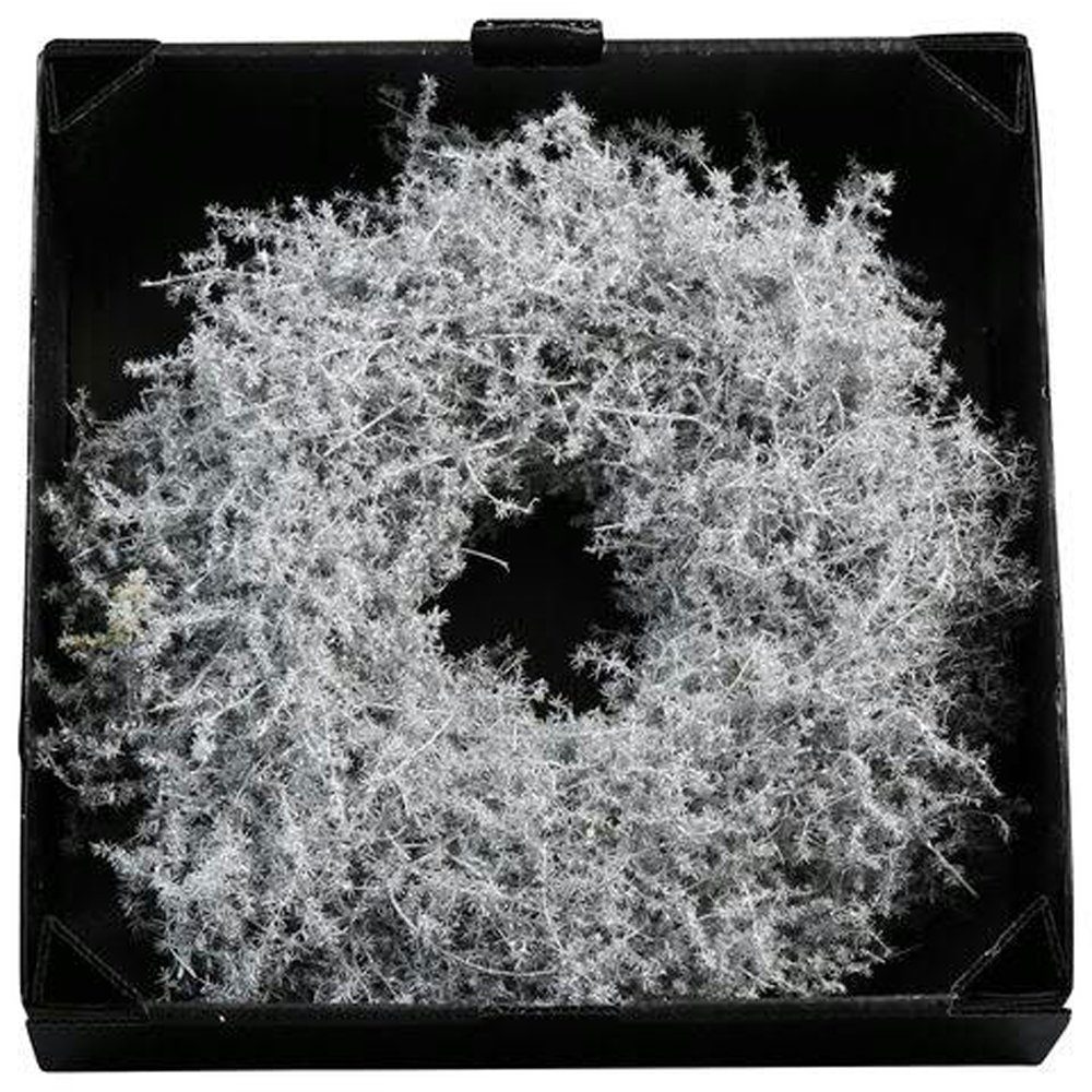 Annimuck Dekokranz Kranz Asparagus 35cm gewachst weiß Naturkranz