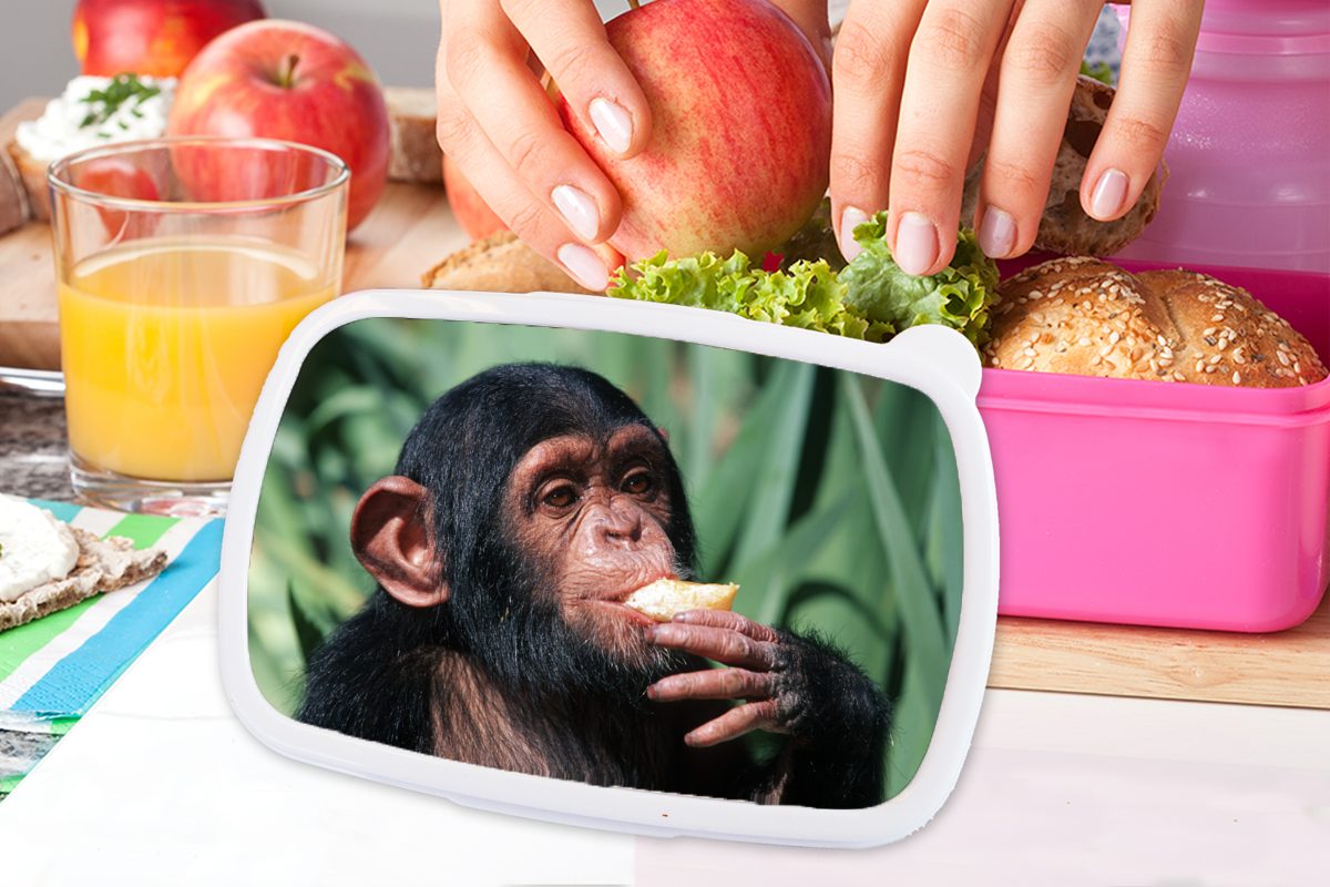 Kunststoff Nahaufnahme Mädchen, Snackbox, für (2-tlg), Brotdose Erwachsene, MuchoWow Brotbox Kinder, Lunchbox Kunststoff, essender Schimpansen-Affe, rosa