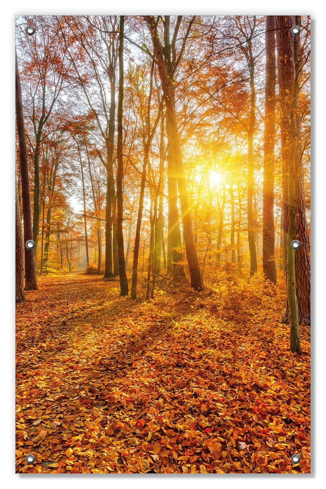 neuestes Design Sonnenschutz Sonnenuntergang im herbstlichen Wald, und blickdicht, wiederverwendbar mit Wallario, Saugnäpfen, wiederablösbar