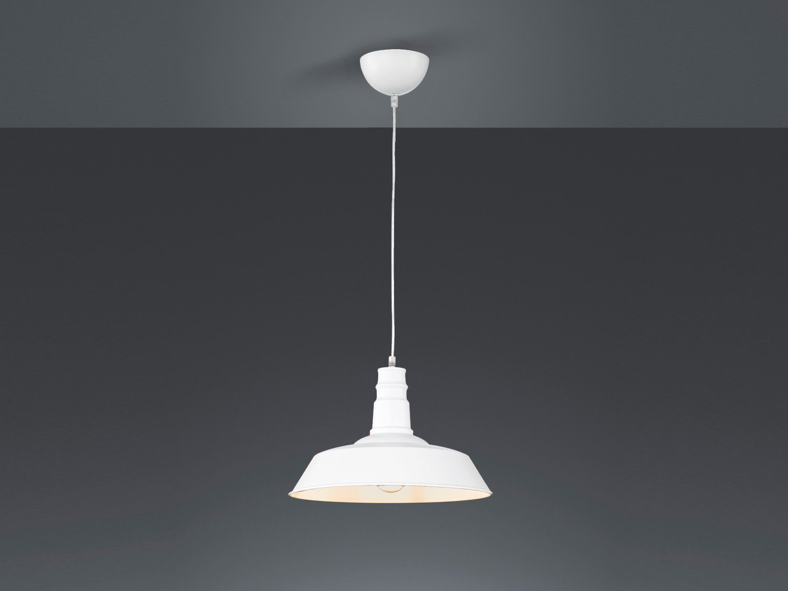 Reality Leuchten LED Pendelleuchte, LED wechselbar, günstig online kaufen
