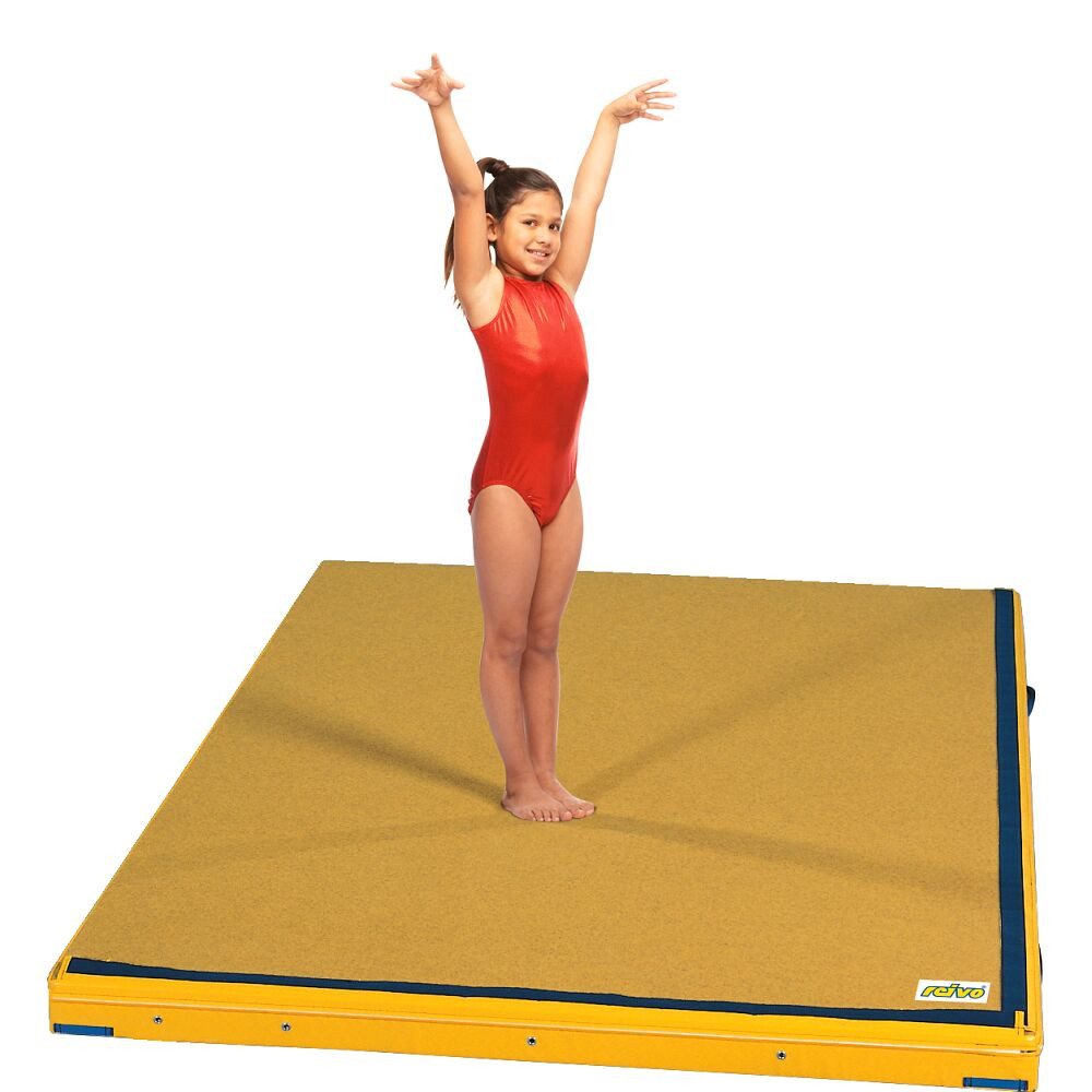 reivo Niedersprungmatte Niedersprungmatte Kombi, Ideal für den Schul- und Vereinssport geeignet