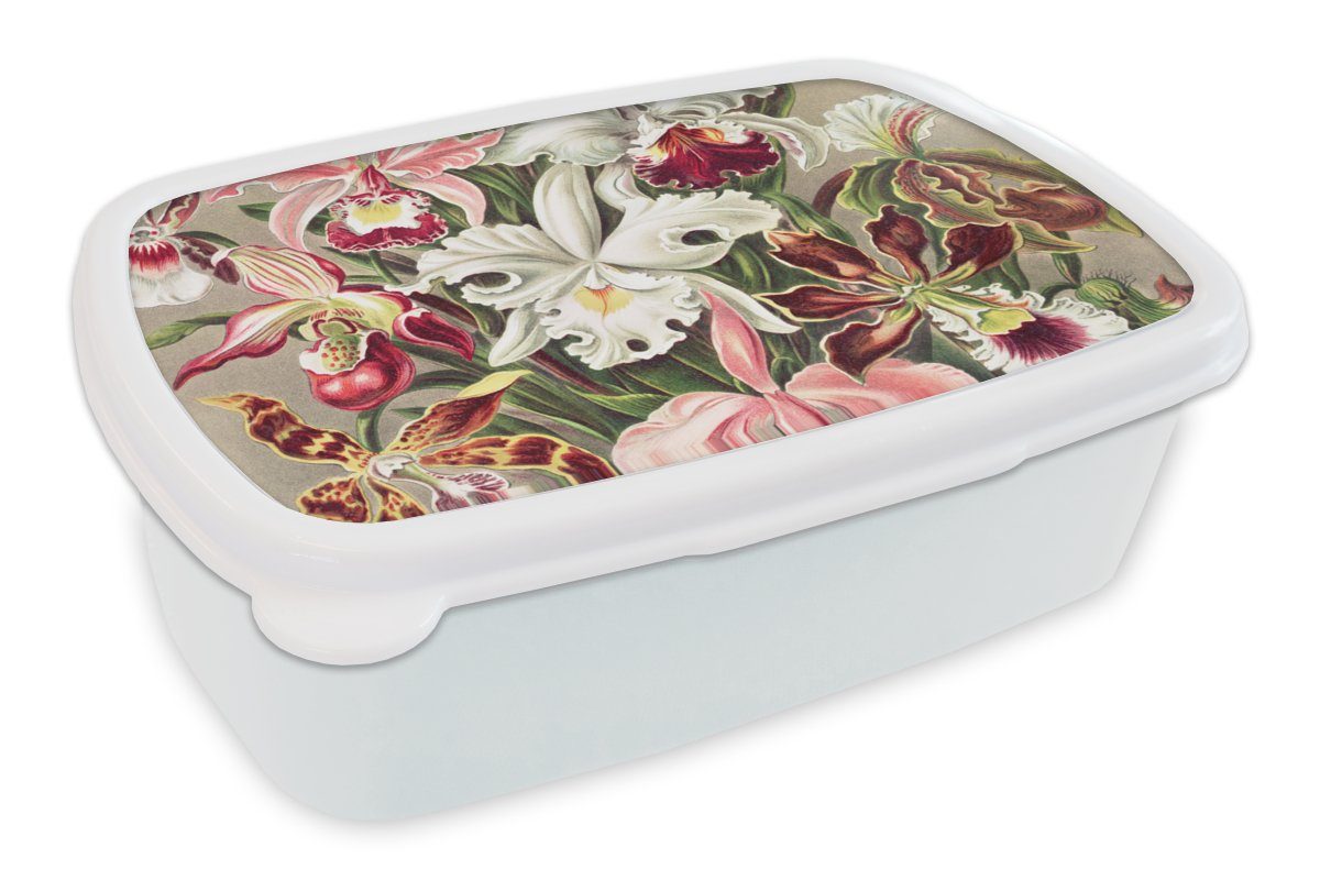 MuchoWow Lunchbox Blumen - Ernst Haeckel - Jahrgang - Orchidee, Kunststoff, (2-tlg), Brotbox für Kinder und Erwachsene, Brotdose, für Jungs und Mädchen weiß