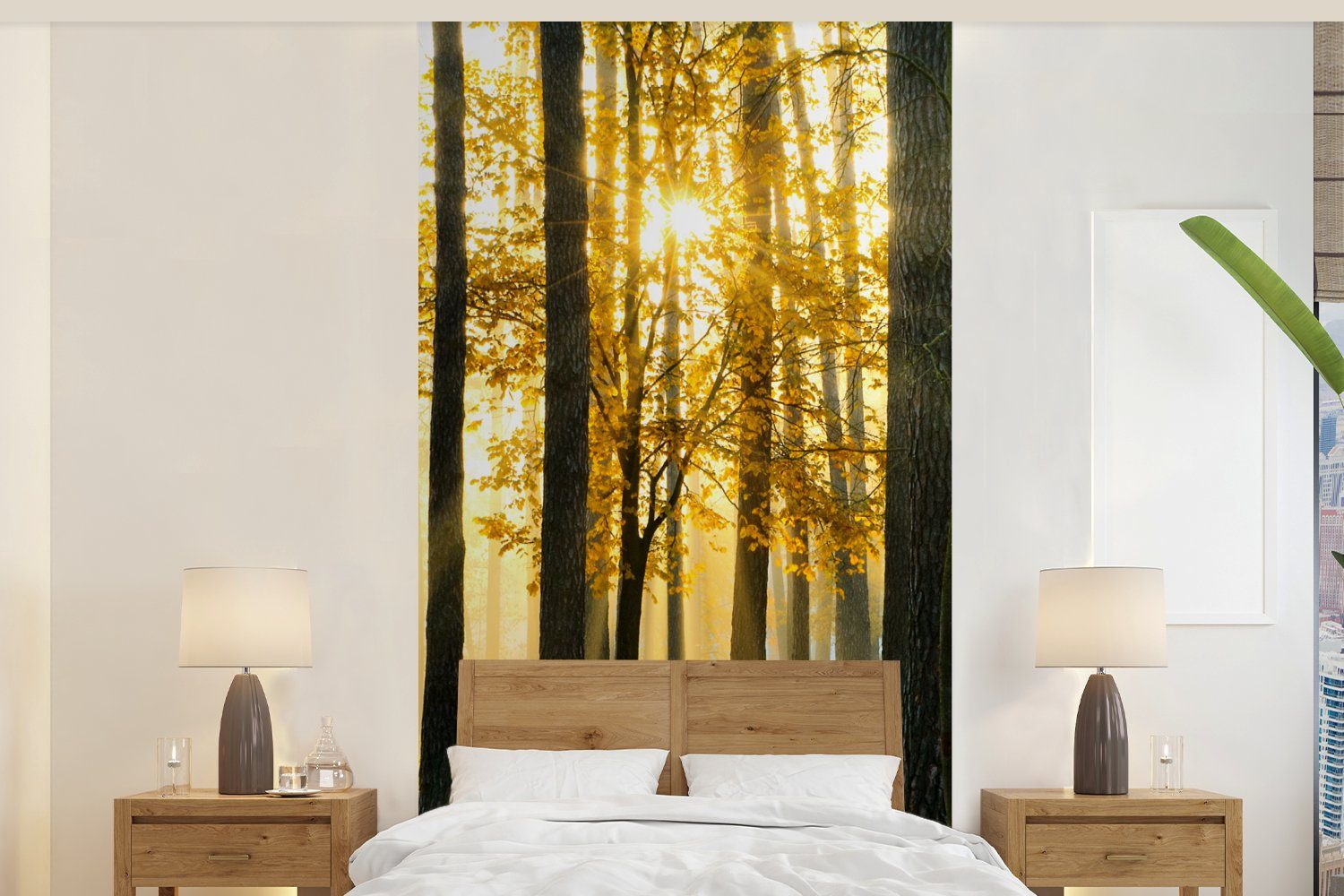 Schlafzimmer - Fototapete Natur, - bedruckt, Matt, - Wald Bäume Vliestapete Landschaft Wohnzimmer Küche, MuchoWow - - Sonne Gras (2 St), Fototapete für