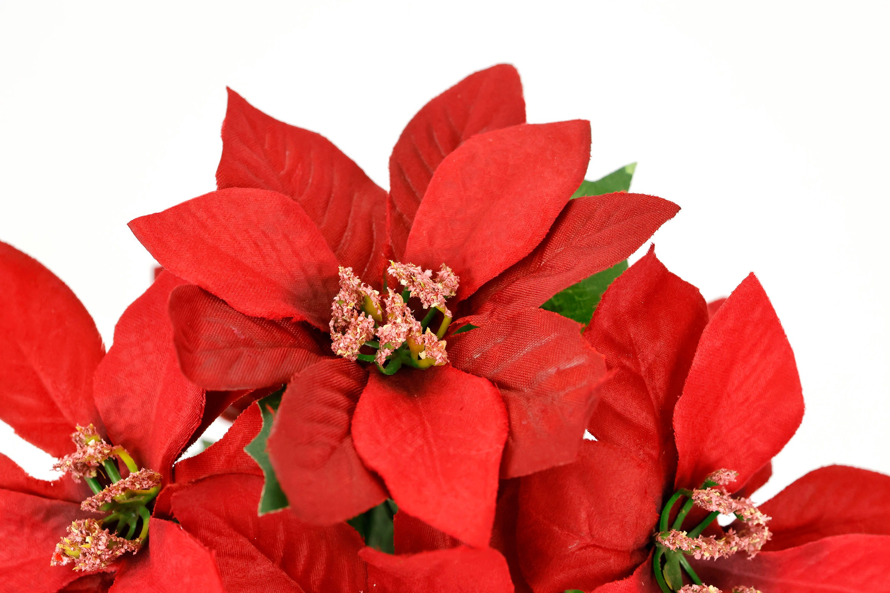 Kunstblume Poinsettia im Topf Christstern, I.GE.A., Höhe 17 cm, 2er Set Kün günstig online kaufen