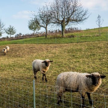 casa pura Draht Wildzaun Verzinkt, verschiedene Größen, Zaun, Maschenbreite: 15 cm