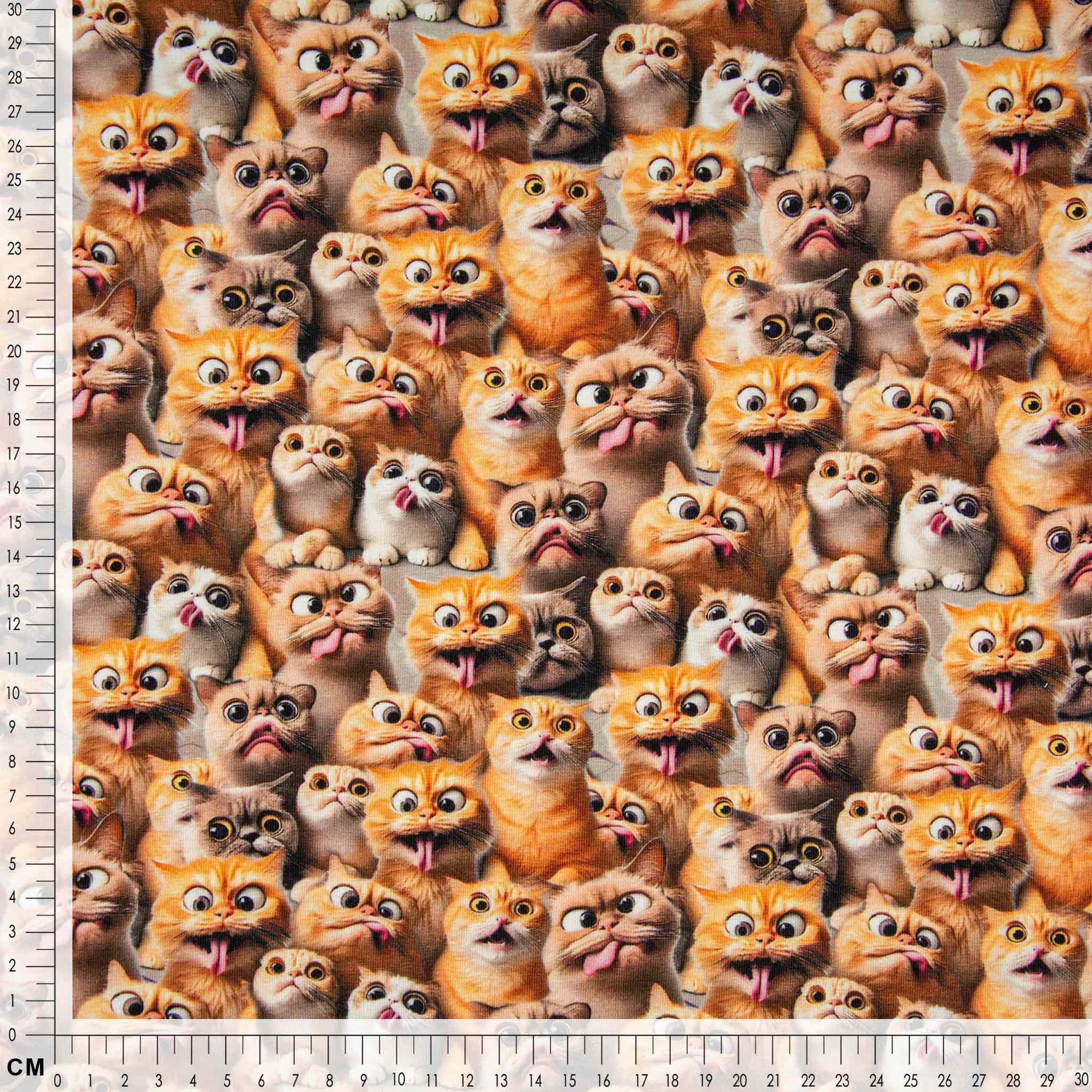 maDDma Stoff Baumwolljersey Funny Cats Print Kinderstoff Meterware 150cm breit