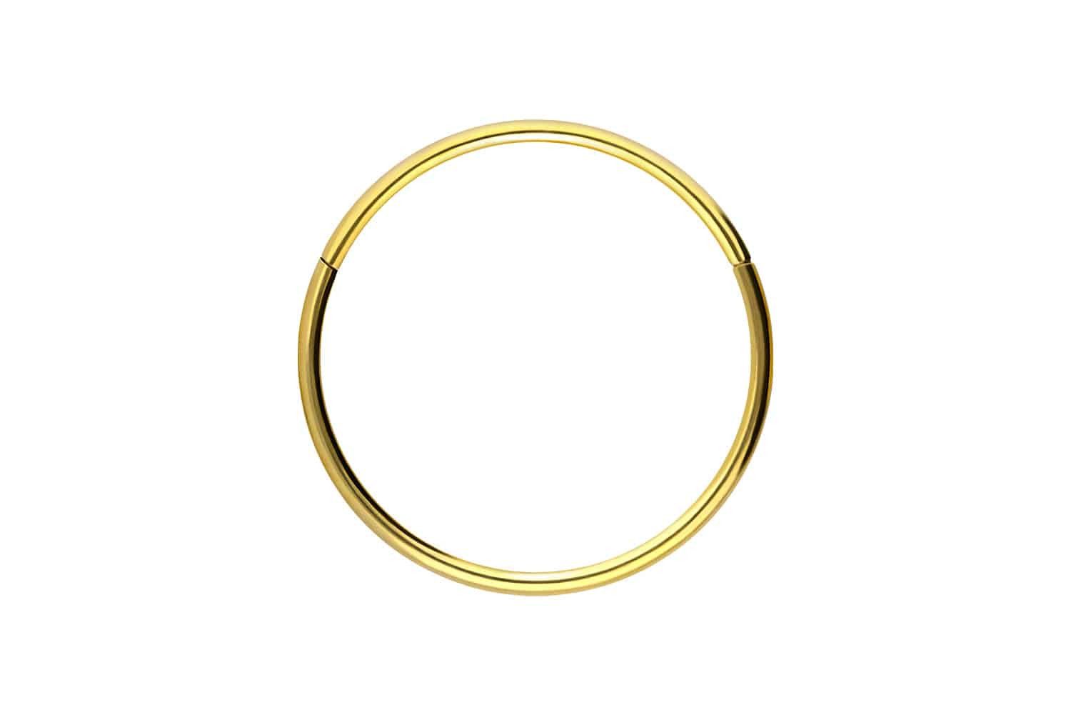PIERCINGLINE Nasenpiercing Titan Segmentring Clicker Ohrpiercing Septum Nase (Clicker, 1-tlg), Ohrpiercing für Conch, Helix, Tragus, Daith, Lobe