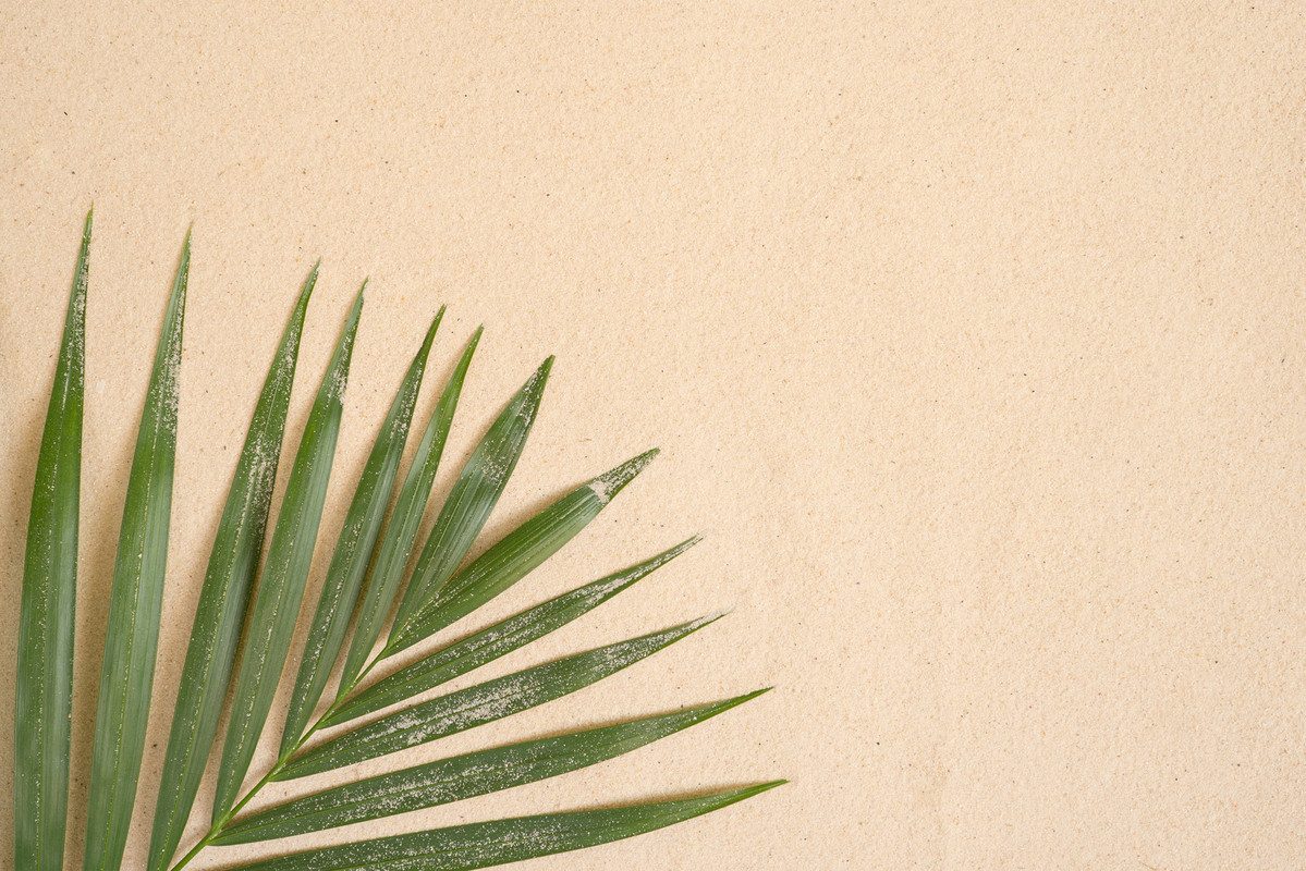 A.S. Création Vliestapete Botanik-Tapete Palmenblatt Sand Beige Grün, glatt, matt, (1 St)