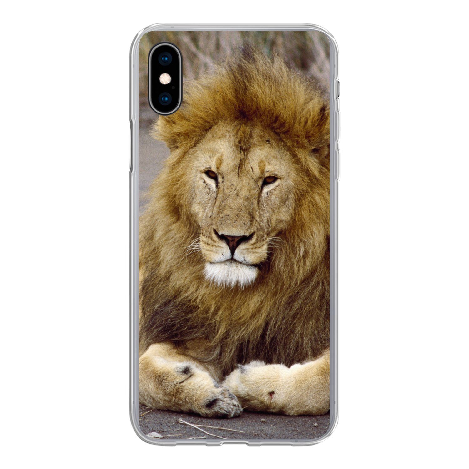 MuchoWow Handyhülle für Apple iPhone XS Löwe - Afrika - Tier, Smartphone-Bumper, Print, Handy Schutzhülle Dünn