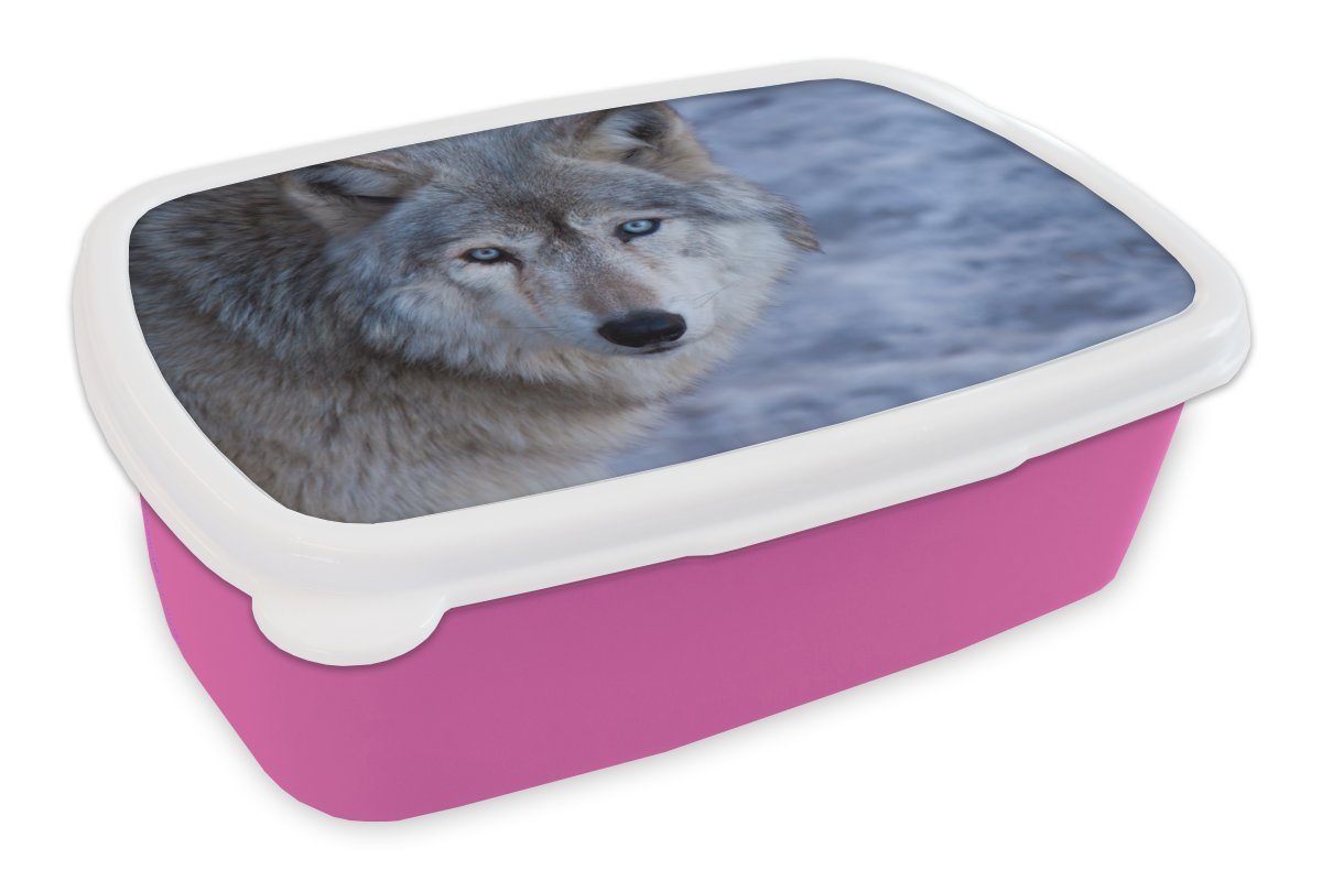 Kinder, (2-tlg), grauen Kopf rosa Lunchbox MuchoWow Brotdose Erwachsene, Kunststoff für Wolfes, Kunststoff, Brotbox Mädchen, eines Snackbox,