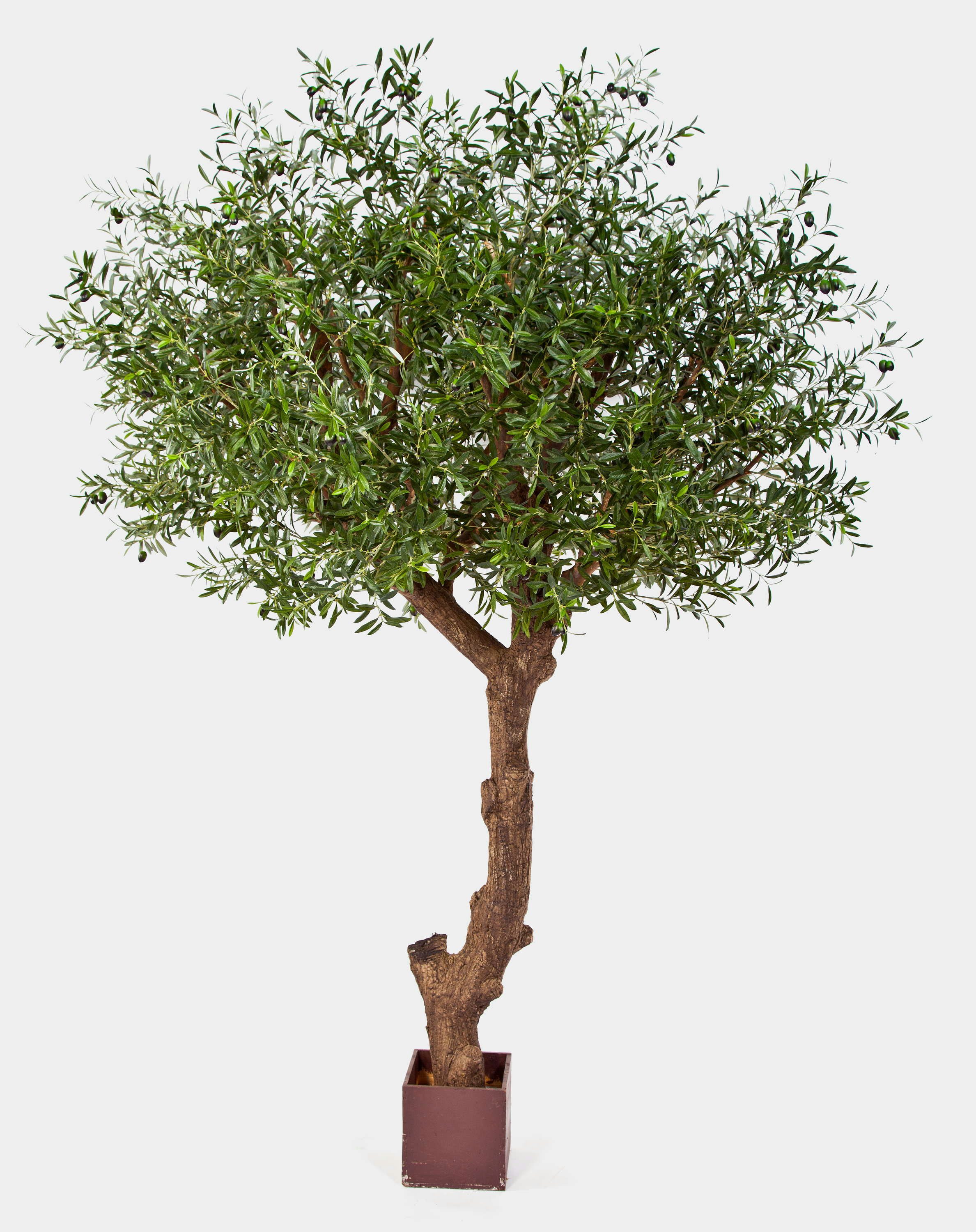Kunstbaum Deko Olivenbaum, 13668 Blätter, 270cm Olivenbaum, artplants, Höhe 270.0 cm