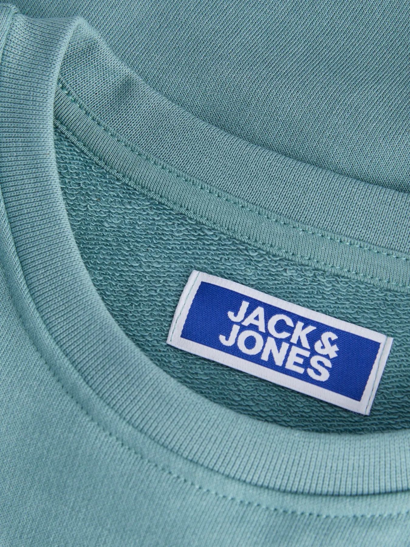 Jack & Jones Junior Sweatshirt JJCOLE PRINT SWEAT CREW MNI