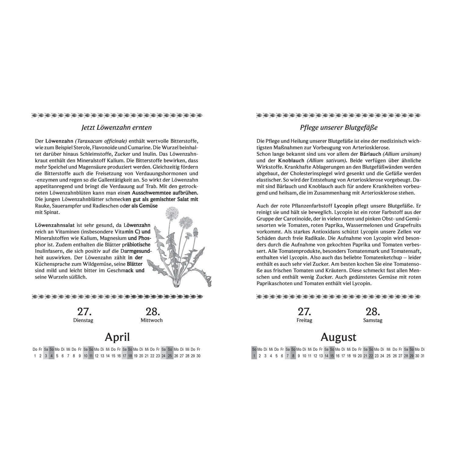 Bassermann Verlag Abreißkalender Liesel Malms Kräuterkalender 2027. Mit der Heilkraft der Natur...