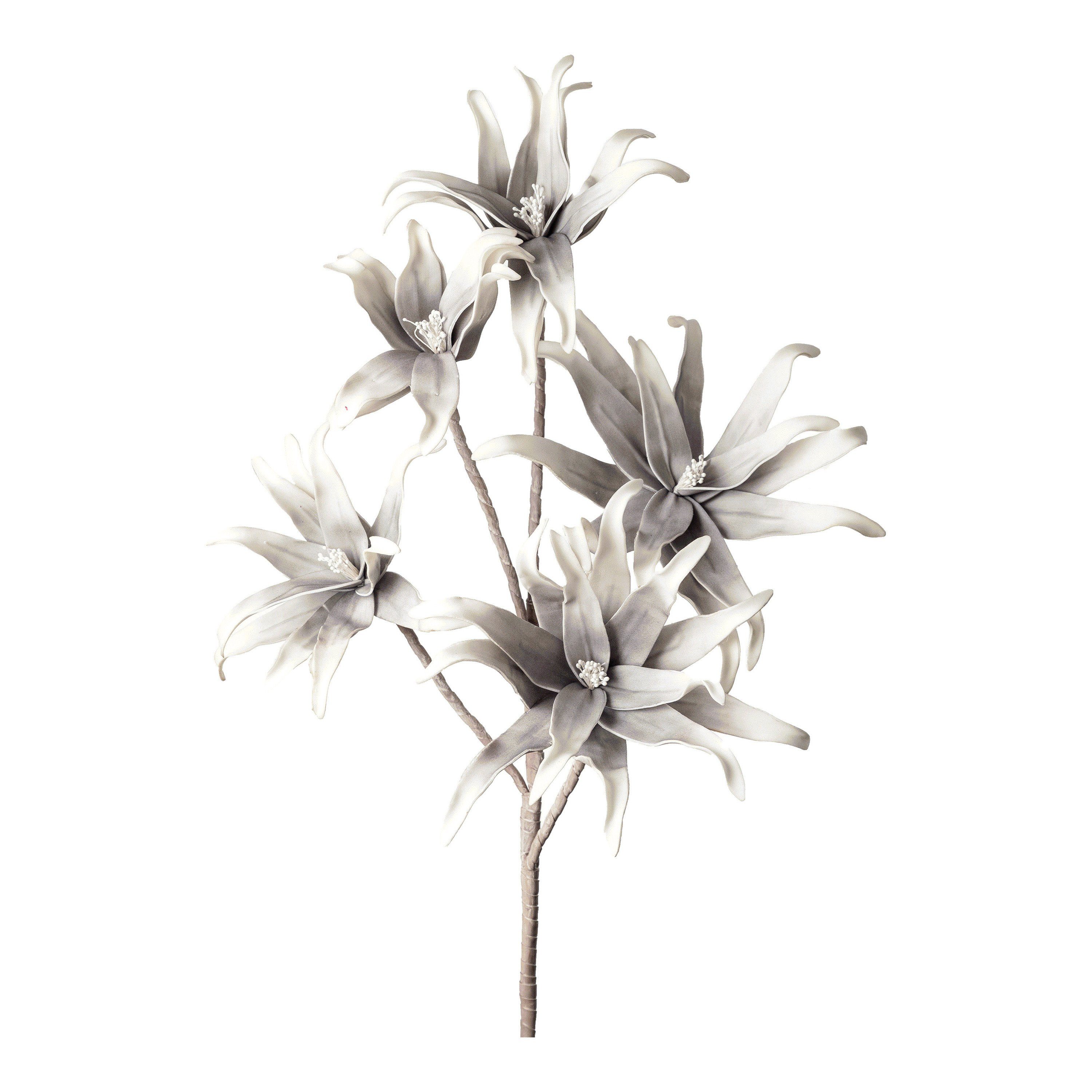 Kunstblume Softflower-Kunst-Stielblume Exotica, Depot, aus Ethylenvinylacetat, Eisen, L 110 Zentimeter Hellgrau
