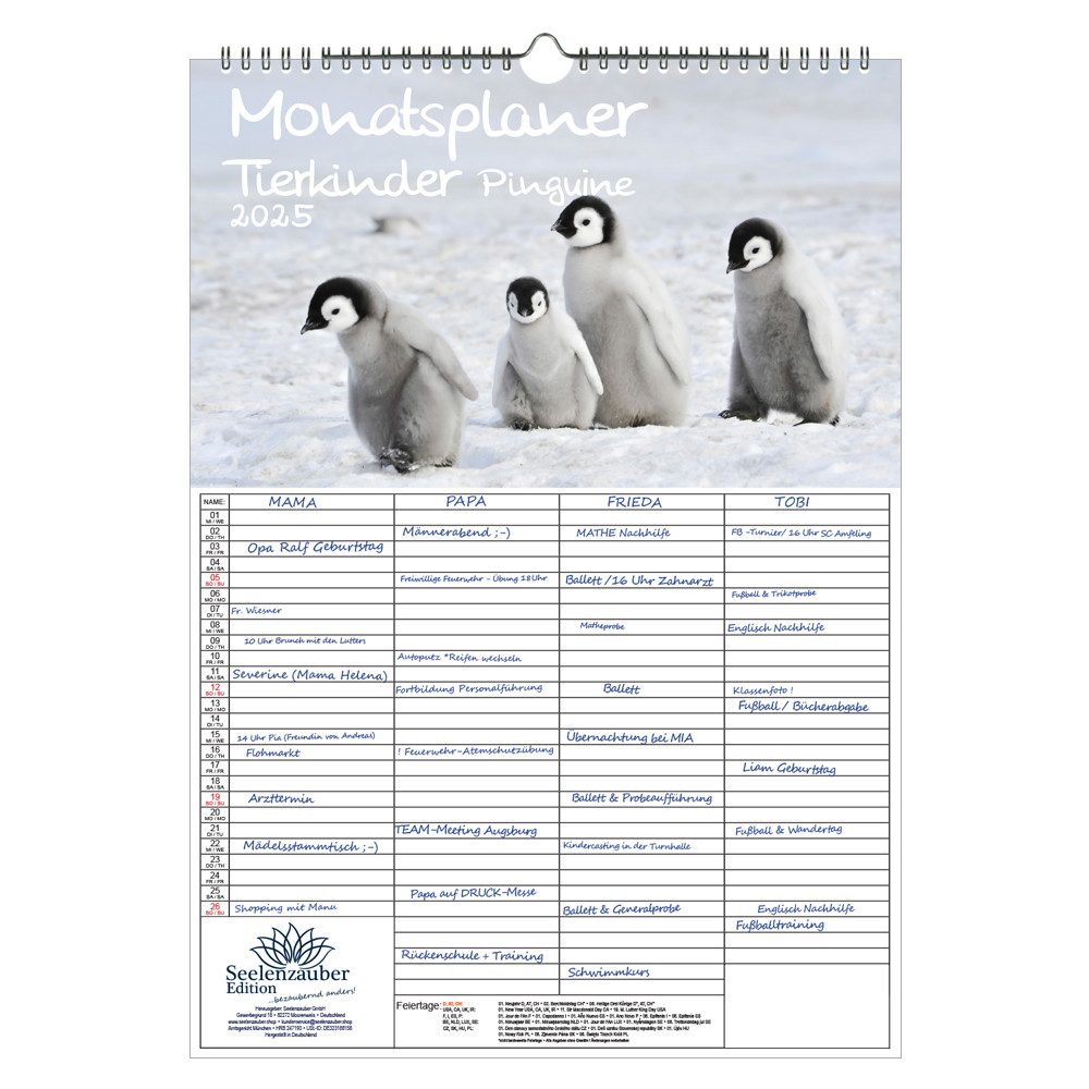Seelenzauber Familienkalender Tierkinder Pinguine Familien Planer Kalender für 2025 DIN A3 Pinguin