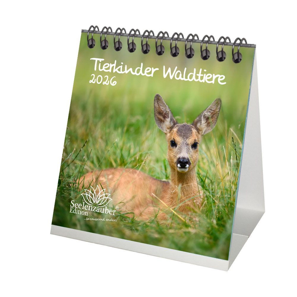Seelenzauber Tischkalender Tierkinder Waldtiere Tischkalender 10cm x 10cm für 2026 Tiere im Wald