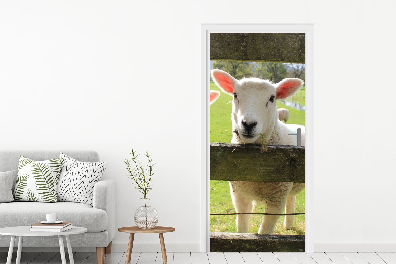Tür, für MuchoWow Fototapete Türtapete Türaufkleber, Tiere Bauernhof, Schafe cm Matt, - - St), bedruckt, 75x205 (1