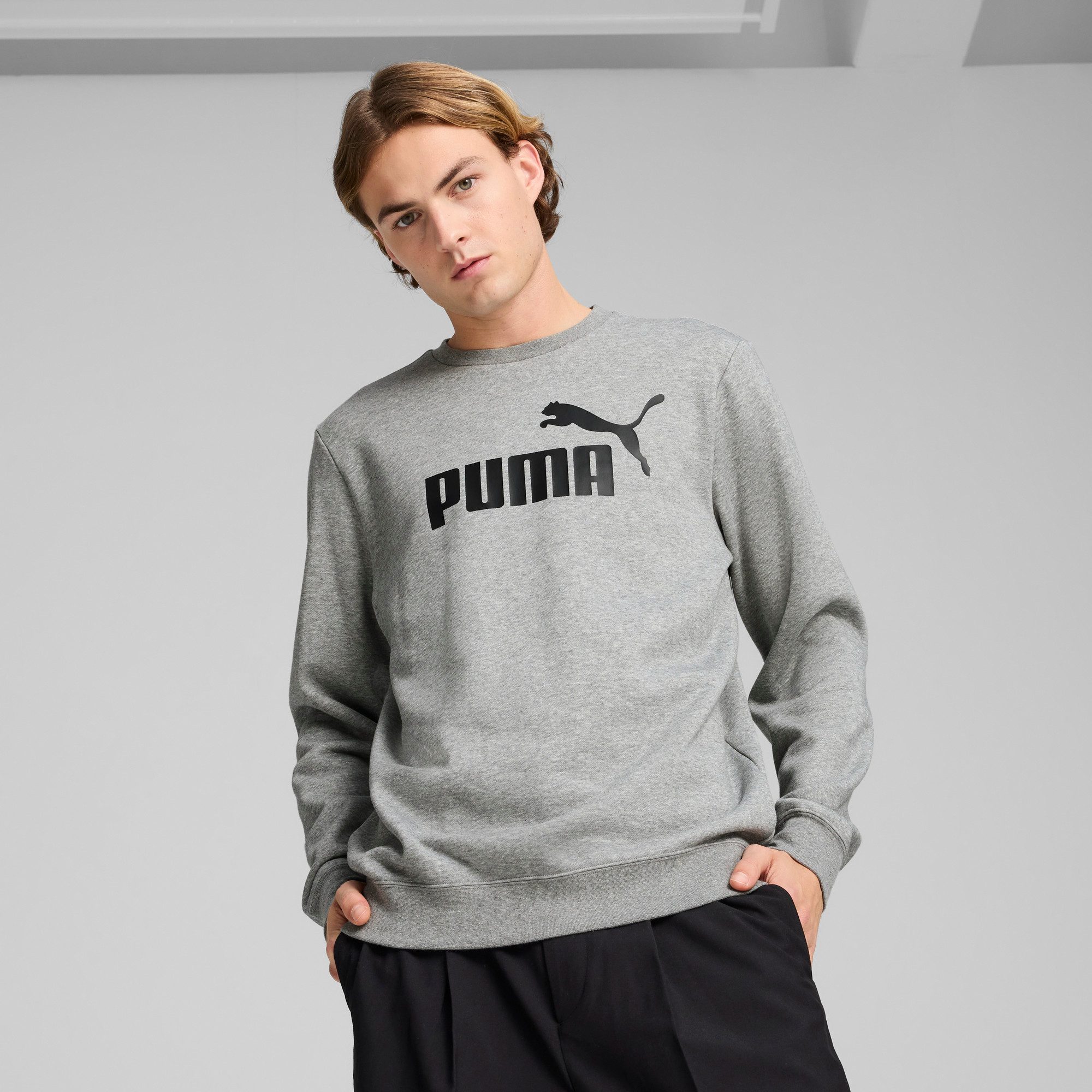 PUMA Langarmshirt ESS NO. 1 LOGO CREW FL günstig online kaufen