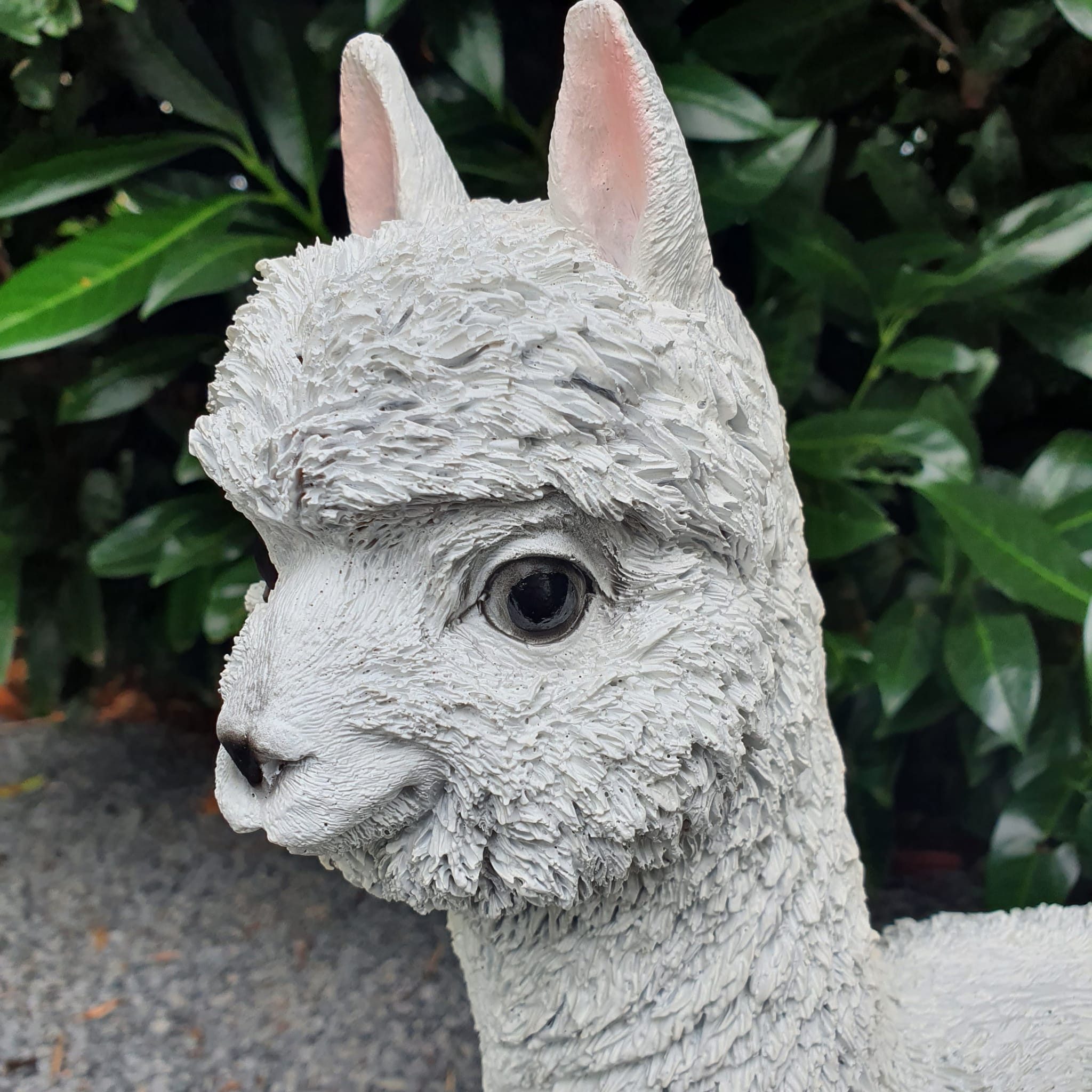 Aspinaworld Gartenfigur Alpaka Figur stehend naturweiß 45 cm – für Hauseingang
