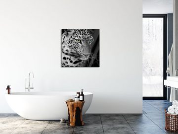 Pixxprint Glasbild Leopardenkopf, Leopardenkopf (1 St), Glasbild aus Echtglas, inkl. Aufhängungen und Abstandshalter