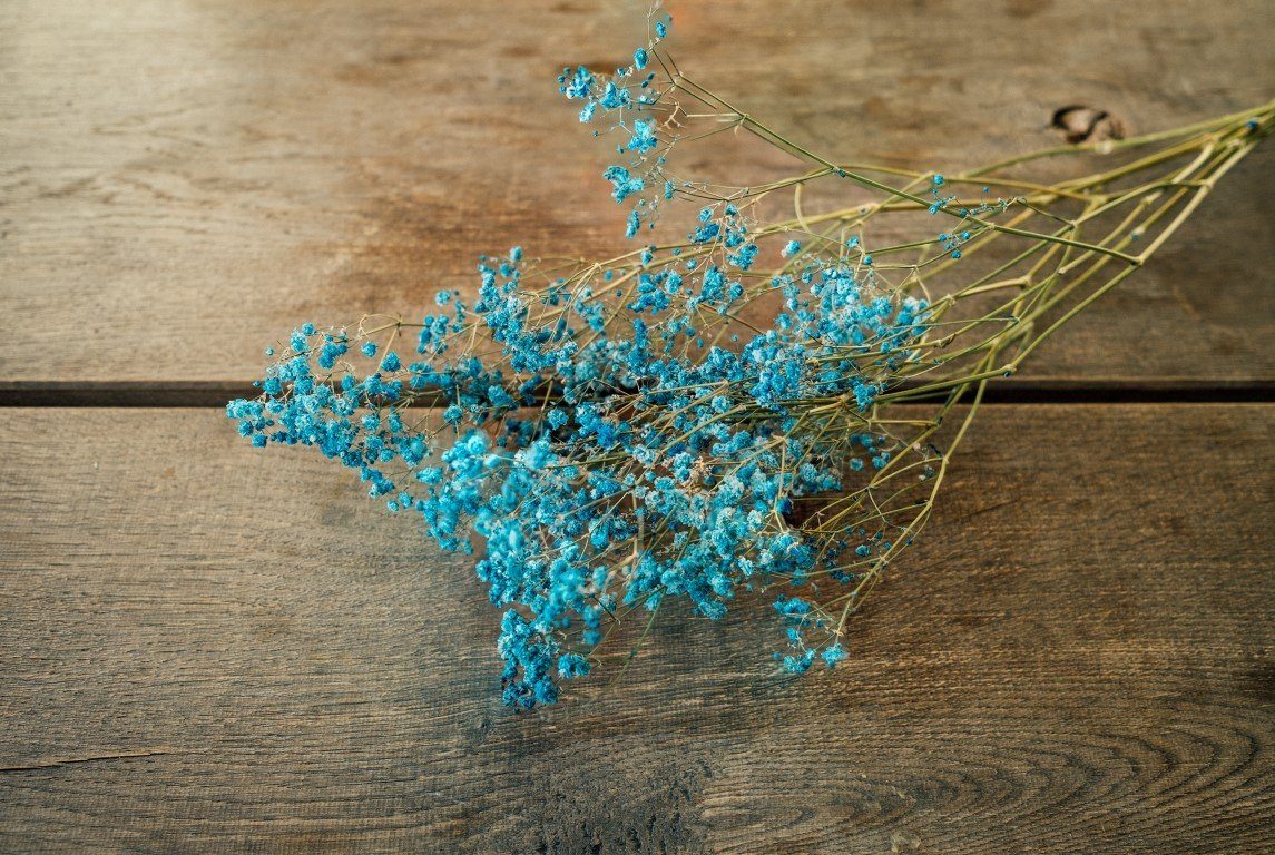 Trockenblume Schleierkraut Hellblau getrocknet im Bund ca. 50-60cm Gypsophila paniculata, NaDeco