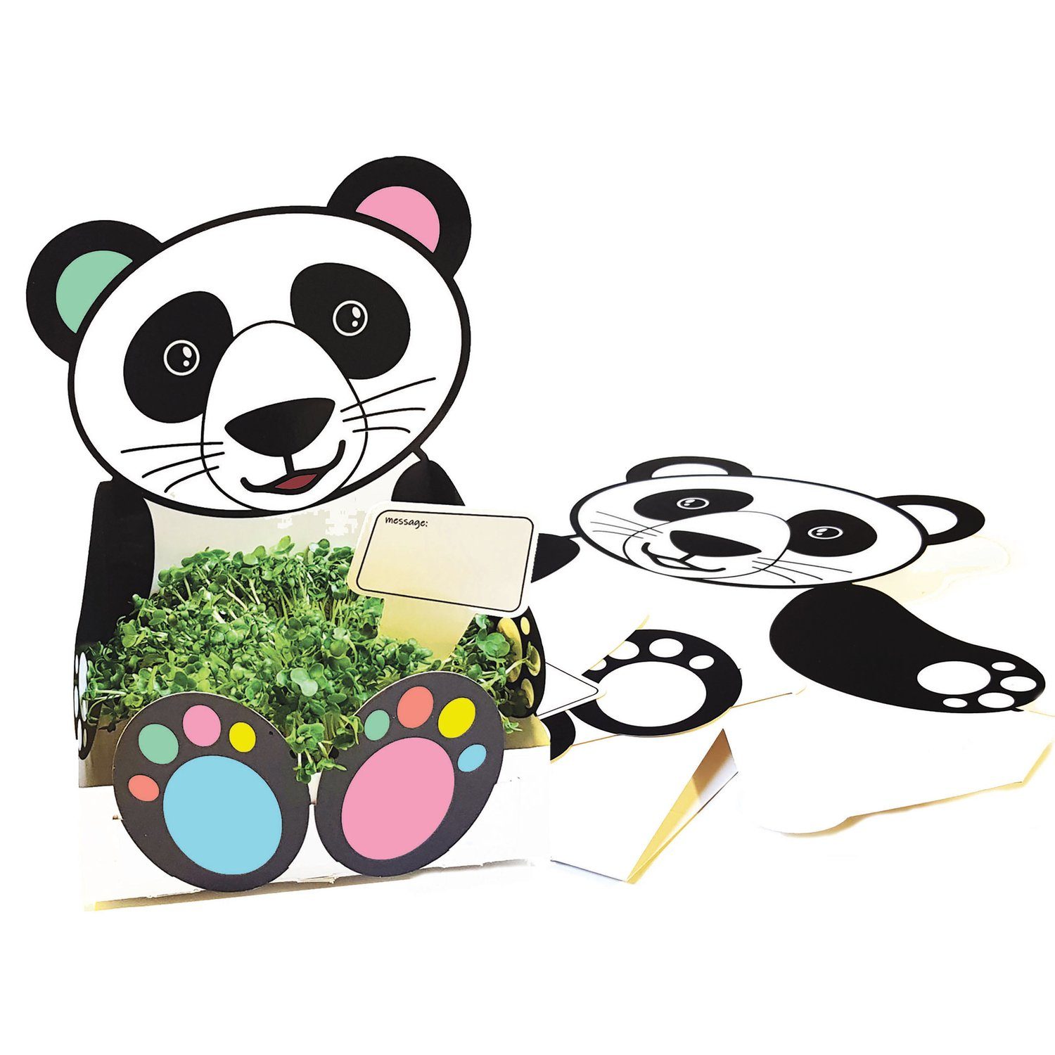 EDUPLAY Experimentierkasten Panda Pflanzschale